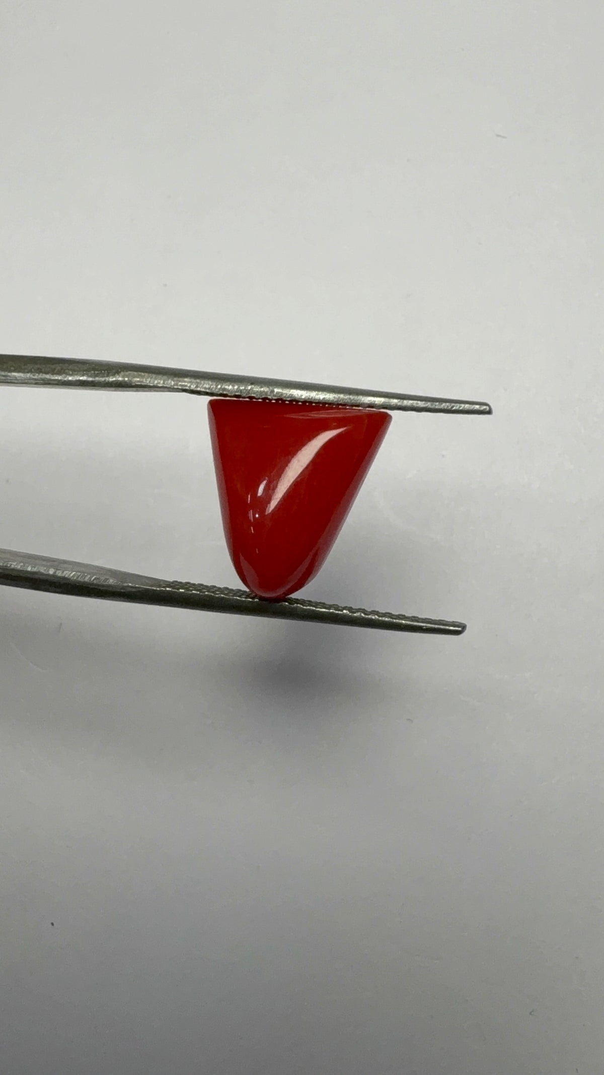 Red Coral 5.21 carat COR-192 reverse view