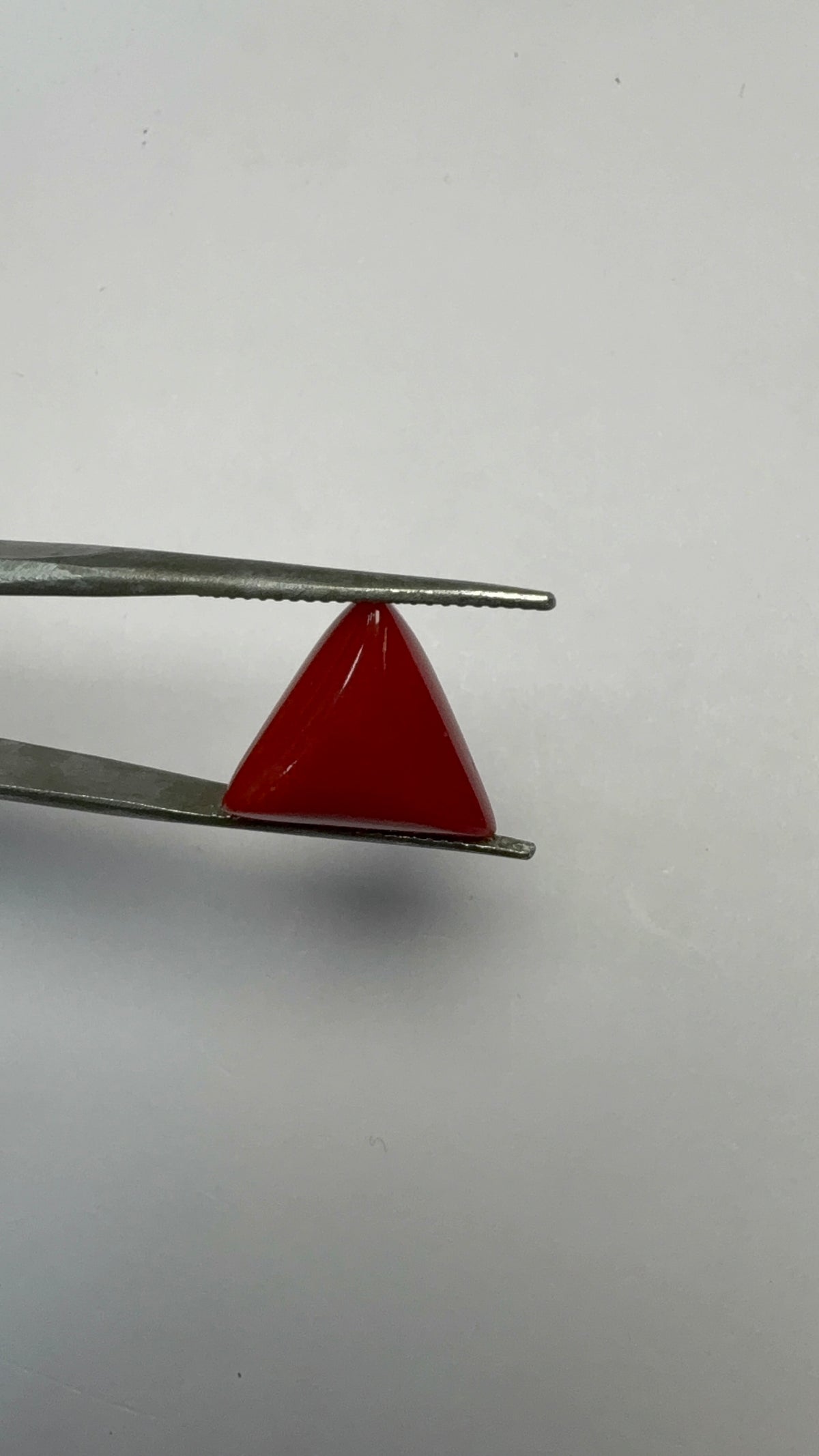Red Coral 8.36 carat COR-193 close view