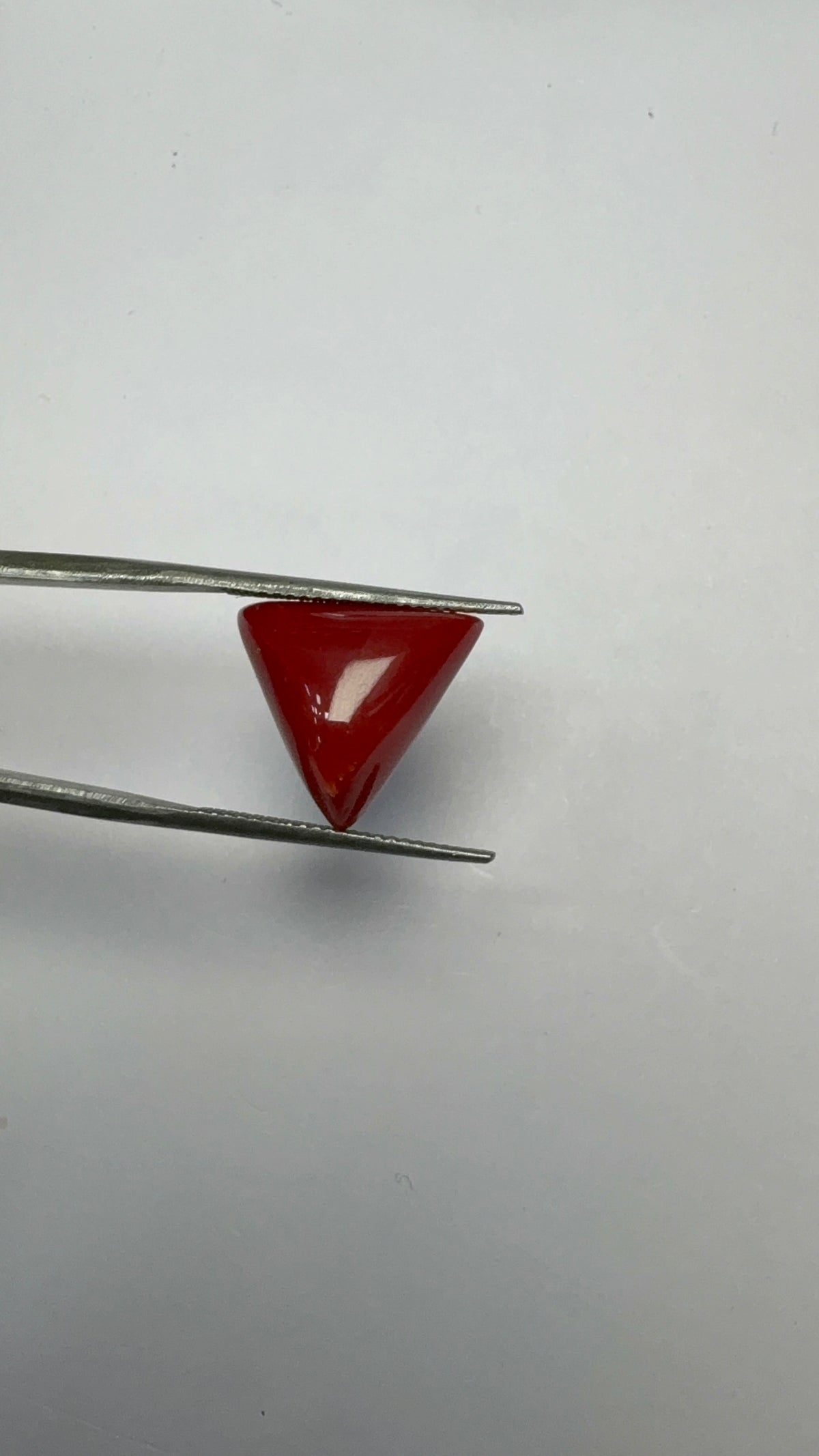 Red Coral 8.36 carat COR-193 angled view
