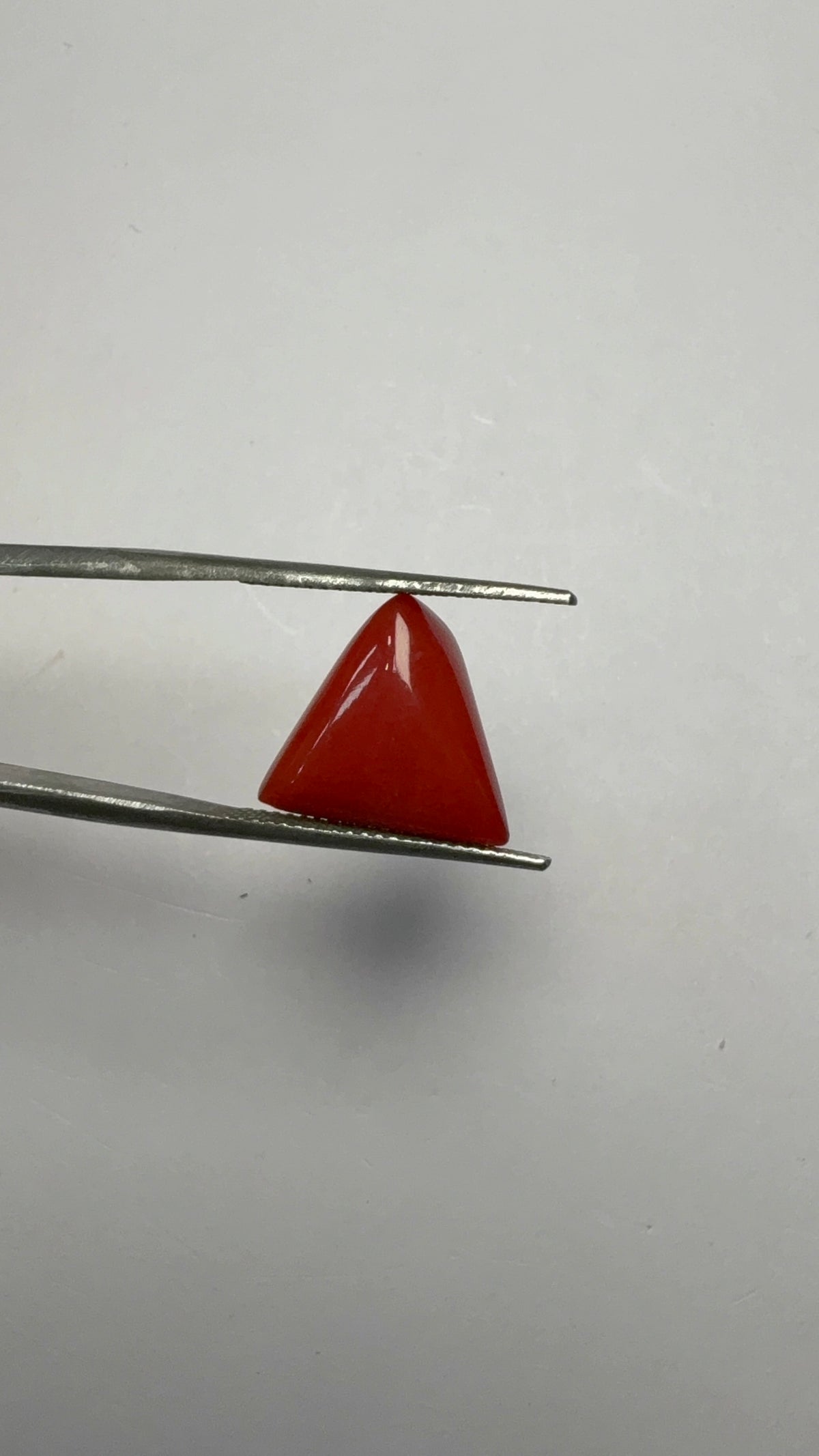 Red Coral 8.10 carat COR-194 close view