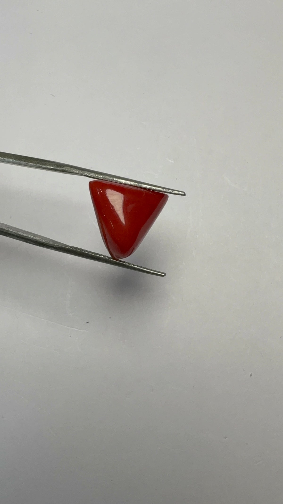 Red Coral 8.10 carat COR-194 angled view