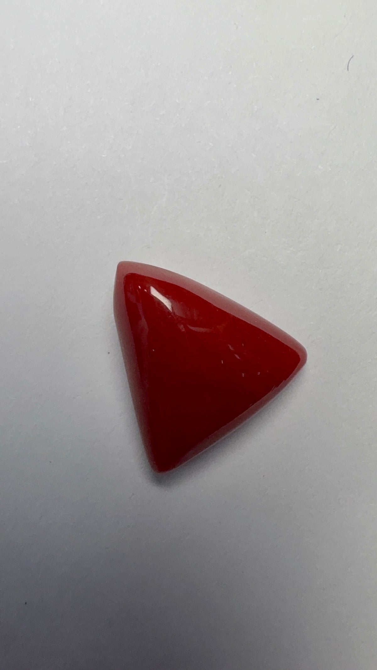 Red Coral 7.32 carat COR-195 face-up view