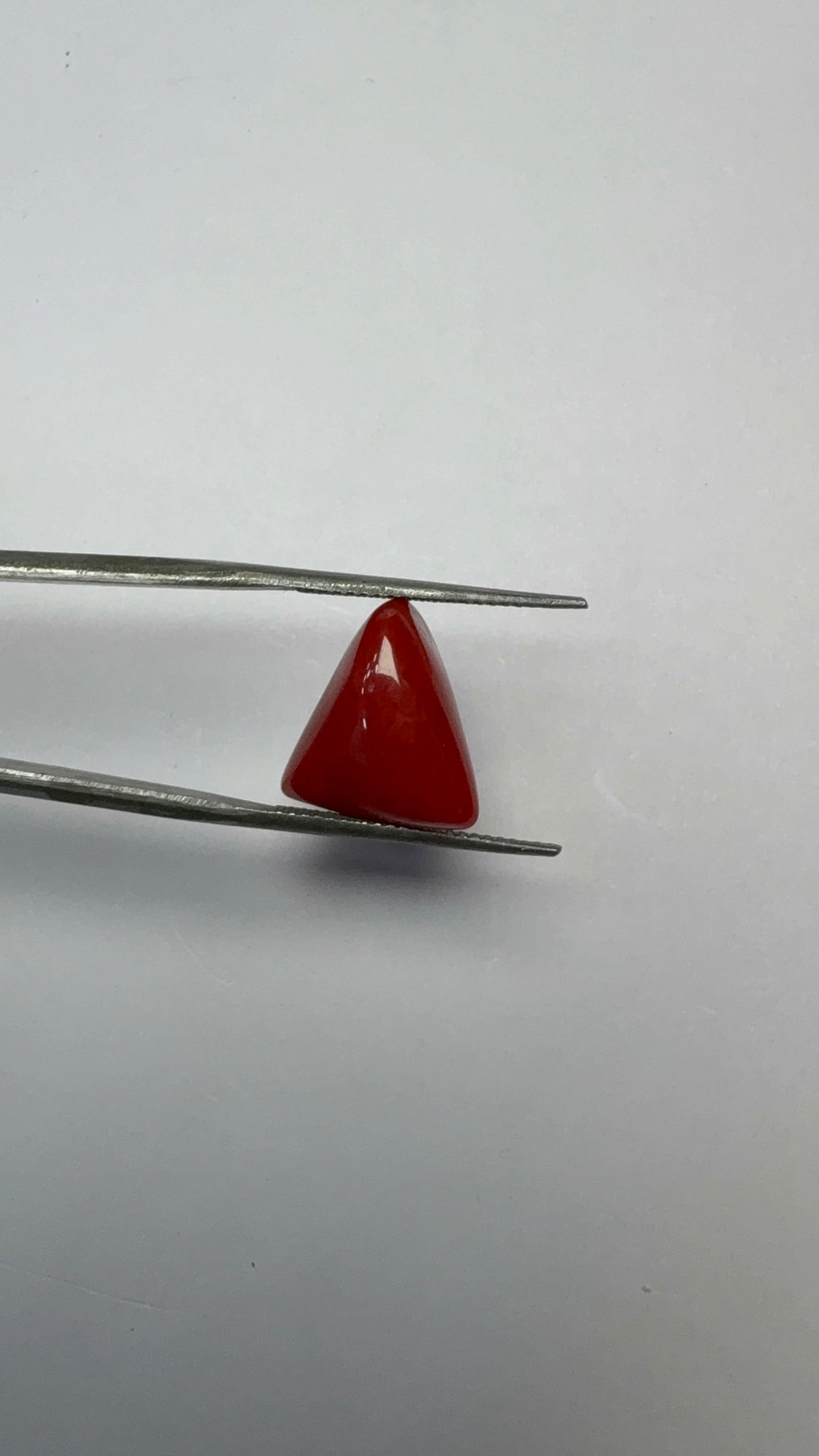 Red Coral 7.32 carat COR-195 close view