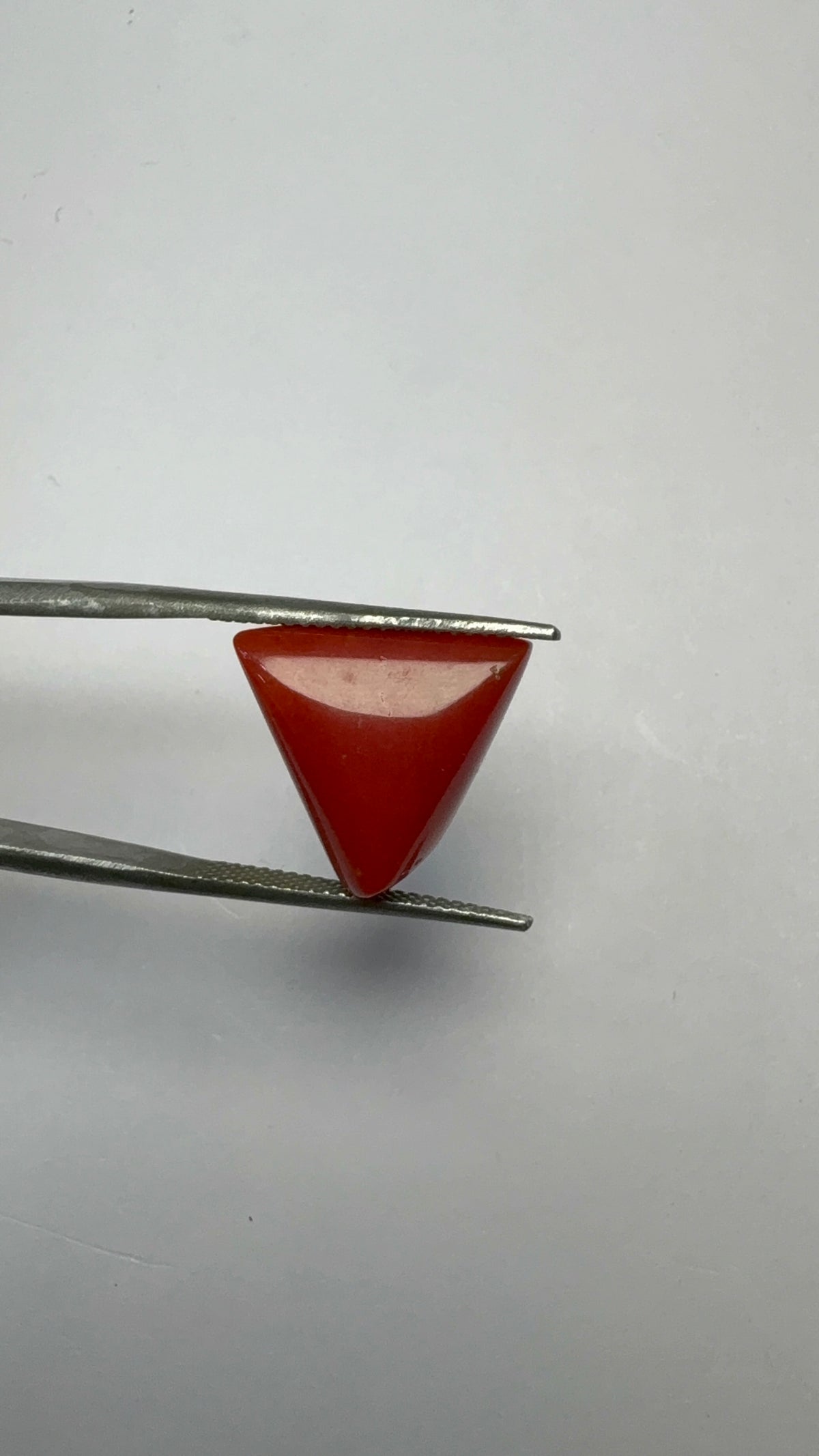Red Coral 9.17 carat COR-196 close view