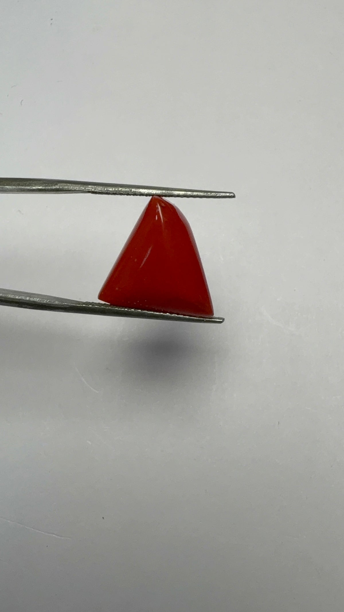 Red Coral 9.17 carat COR-196 angled view