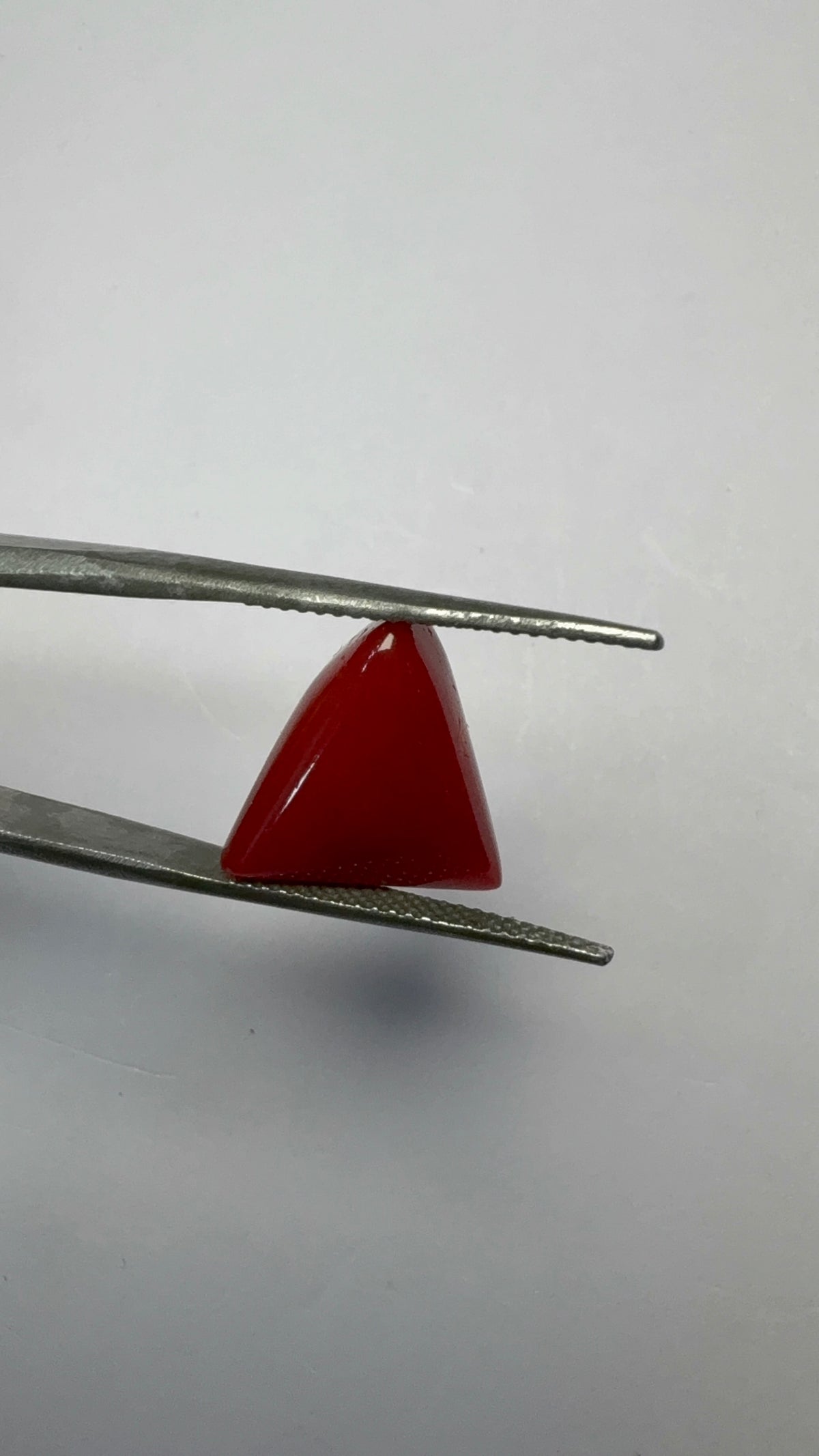 Red Coral 7.72 carat COR-197 close view
