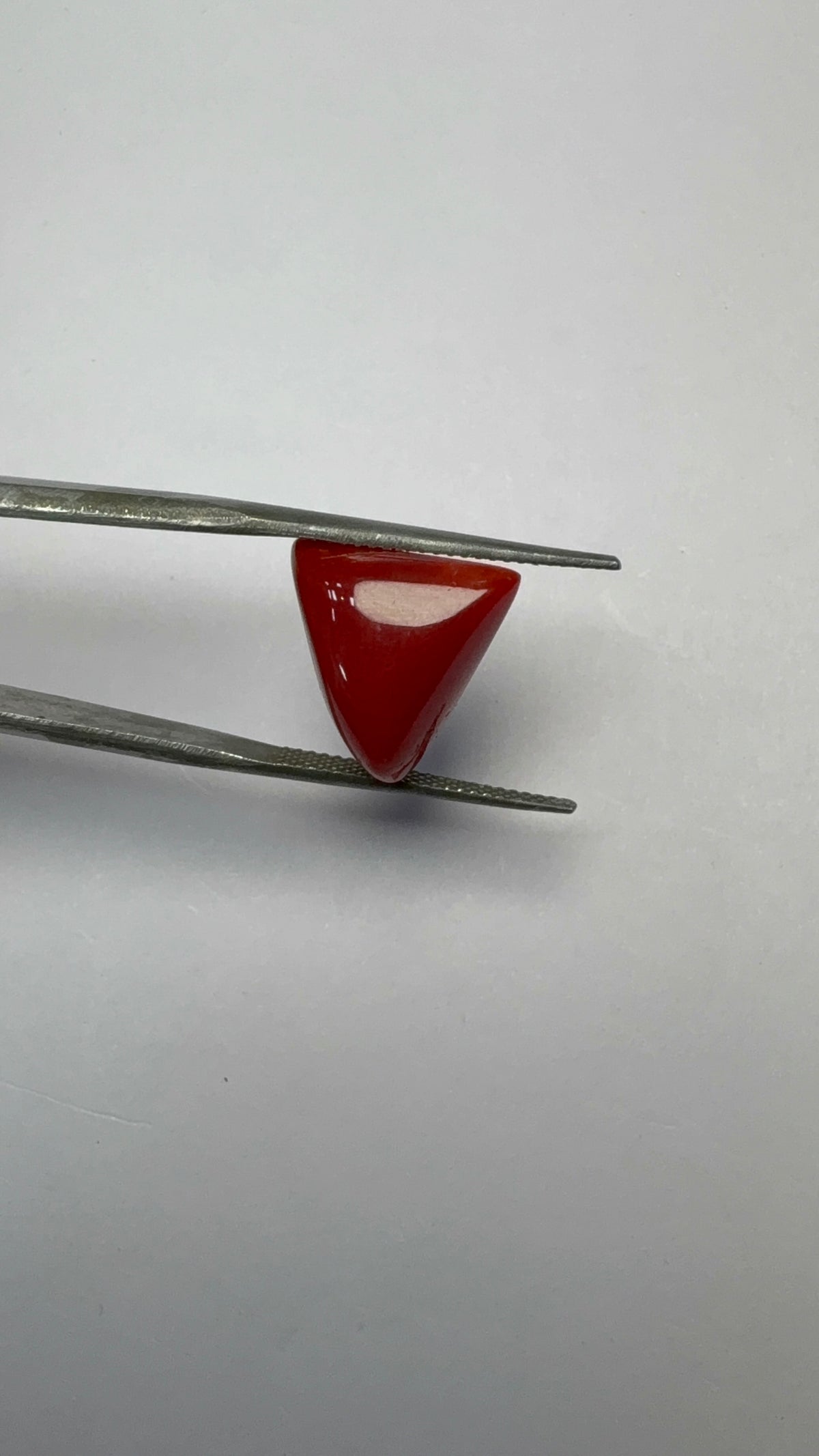 Red Coral 7.72 carat COR-197 angled view