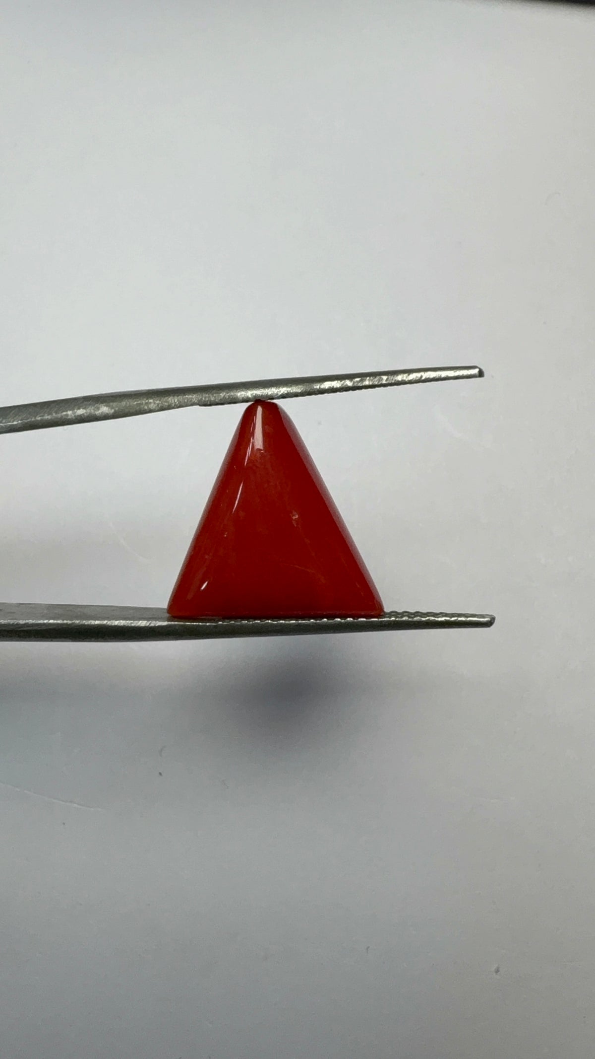 Red Coral 7.21 carat COR-198 close view