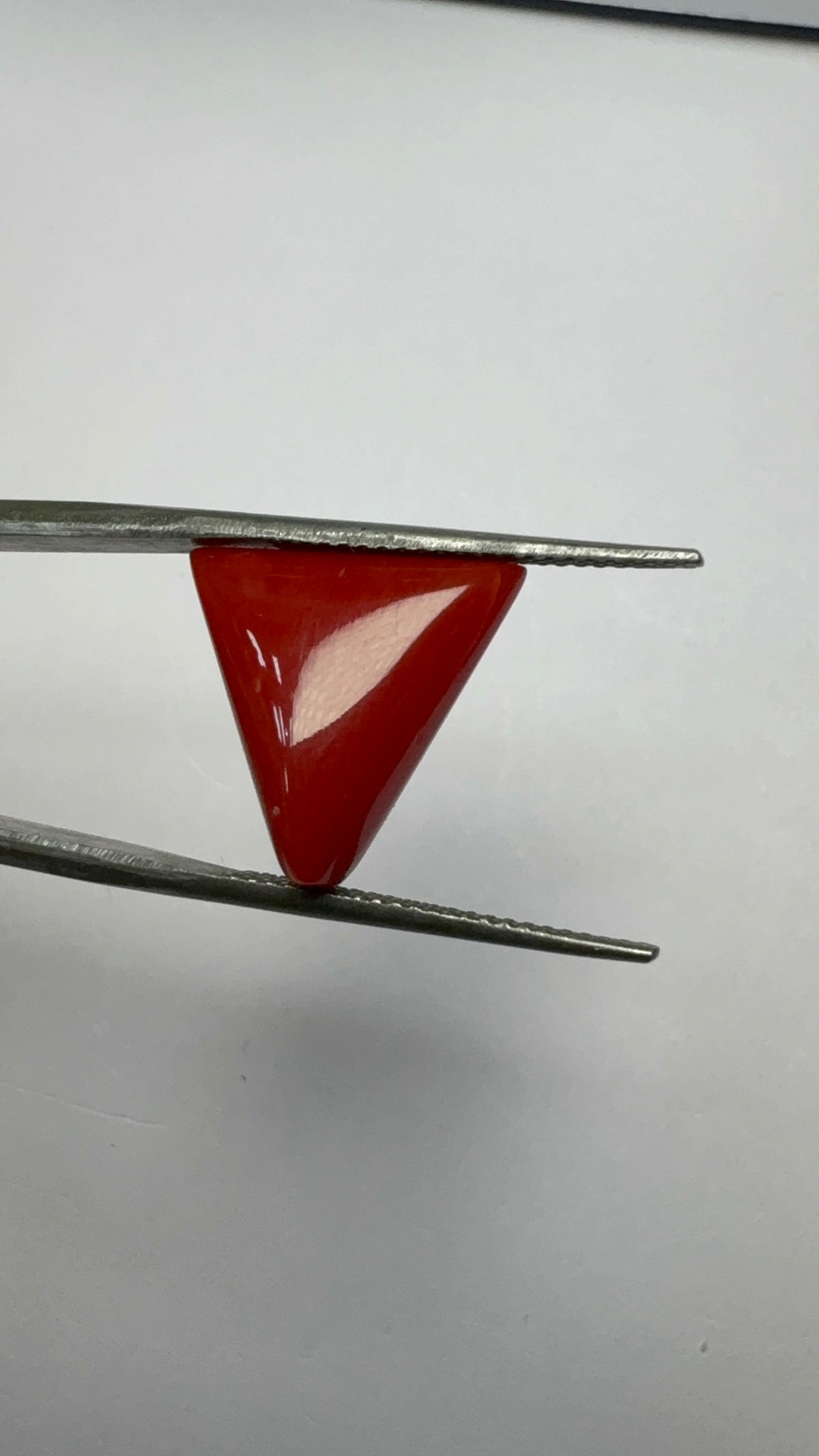 Red Coral 7.21 carat COR-198 angled view