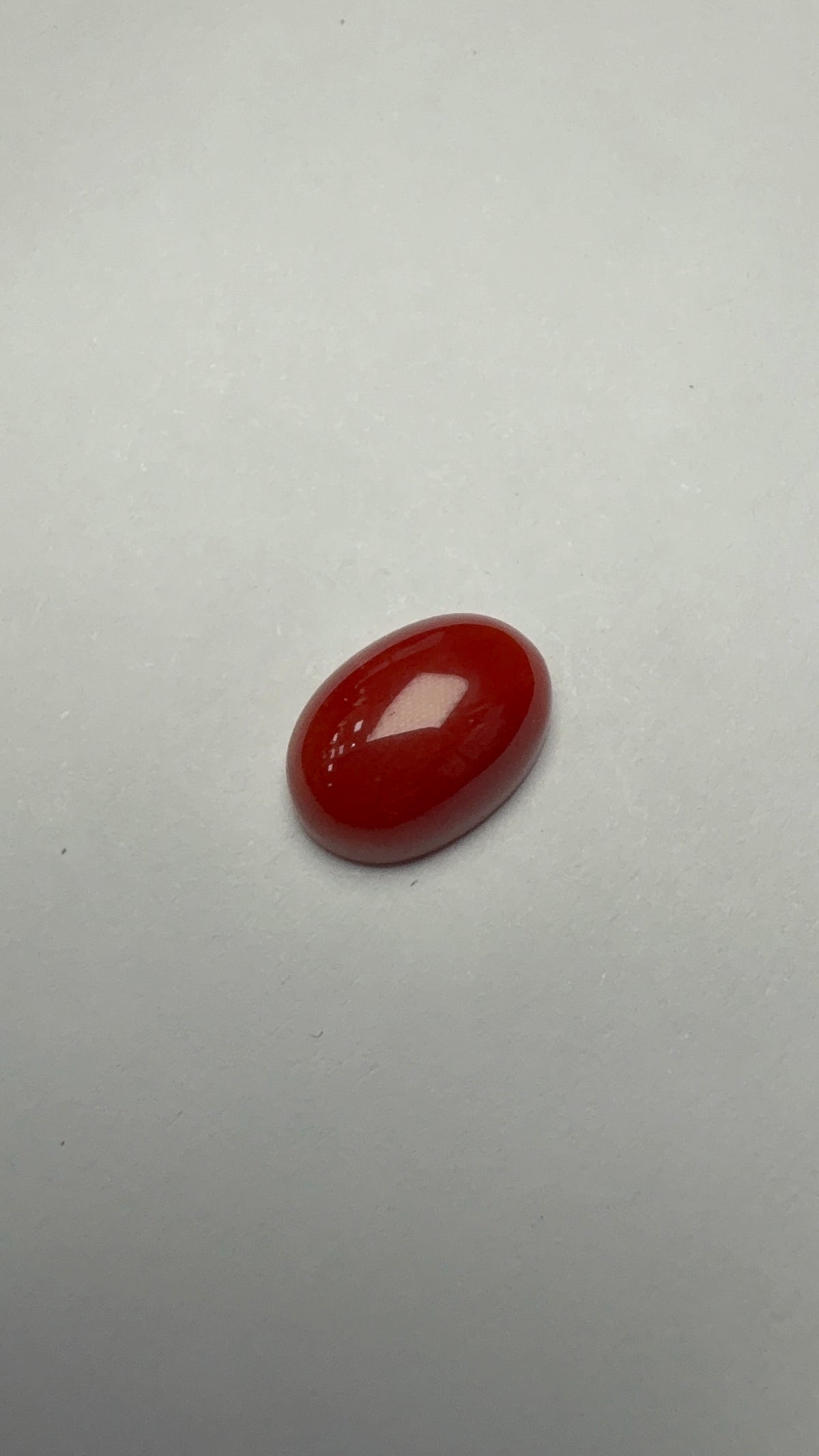 Red Coral 4.30 carat COR-20 front view