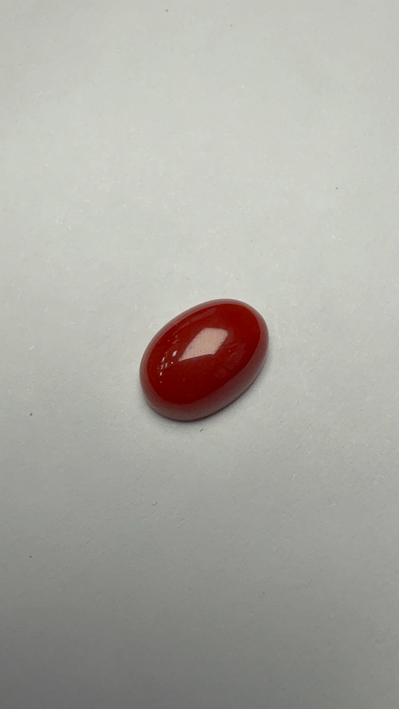 Red Coral – 4.30 Carat – Japan – Oval