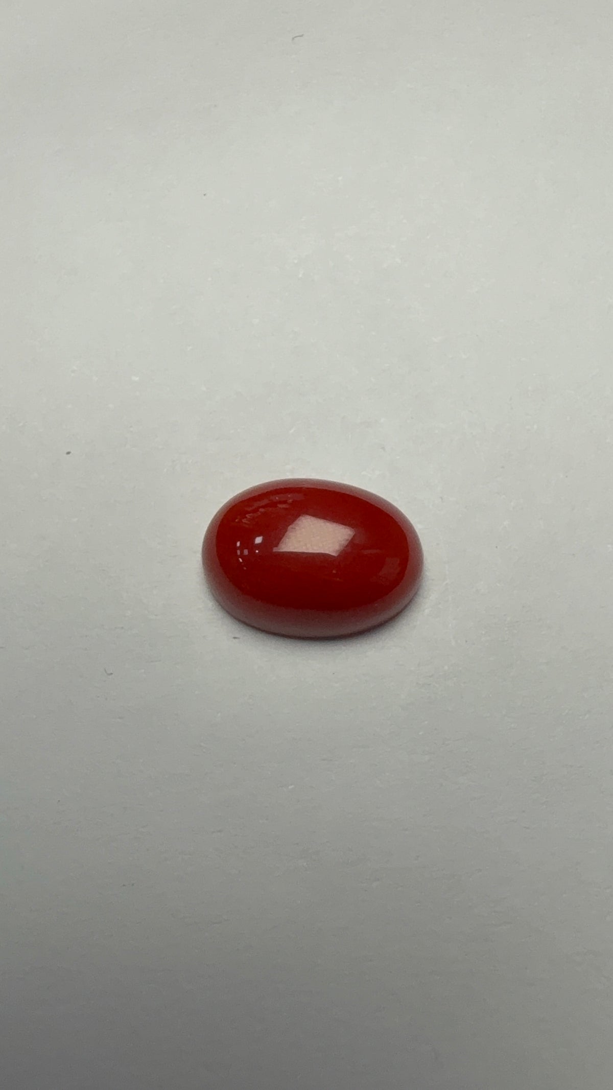 Red Coral 4.30 carat COR-20 face-up view