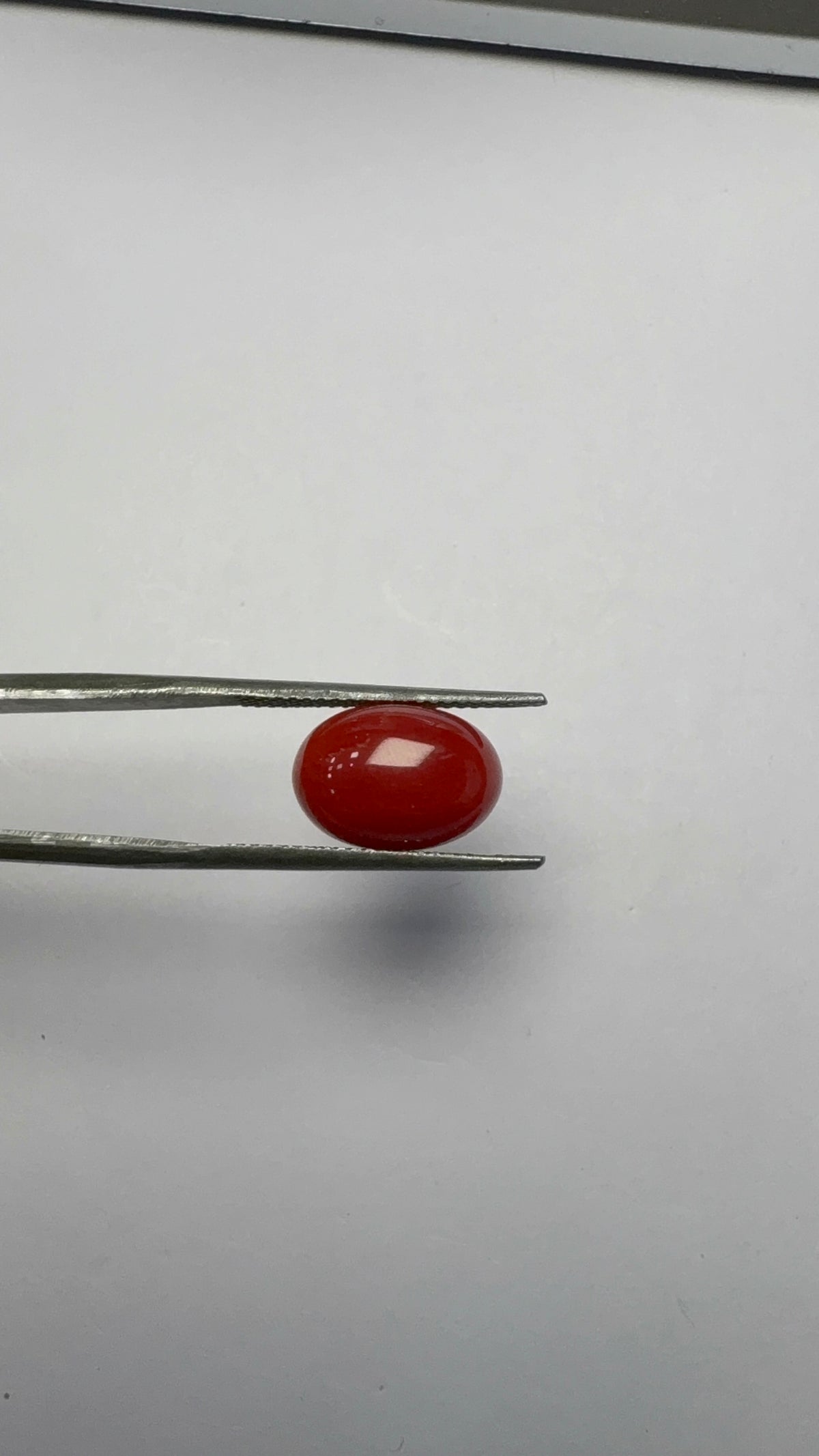 Red Coral 4.30 carat COR-20 close view