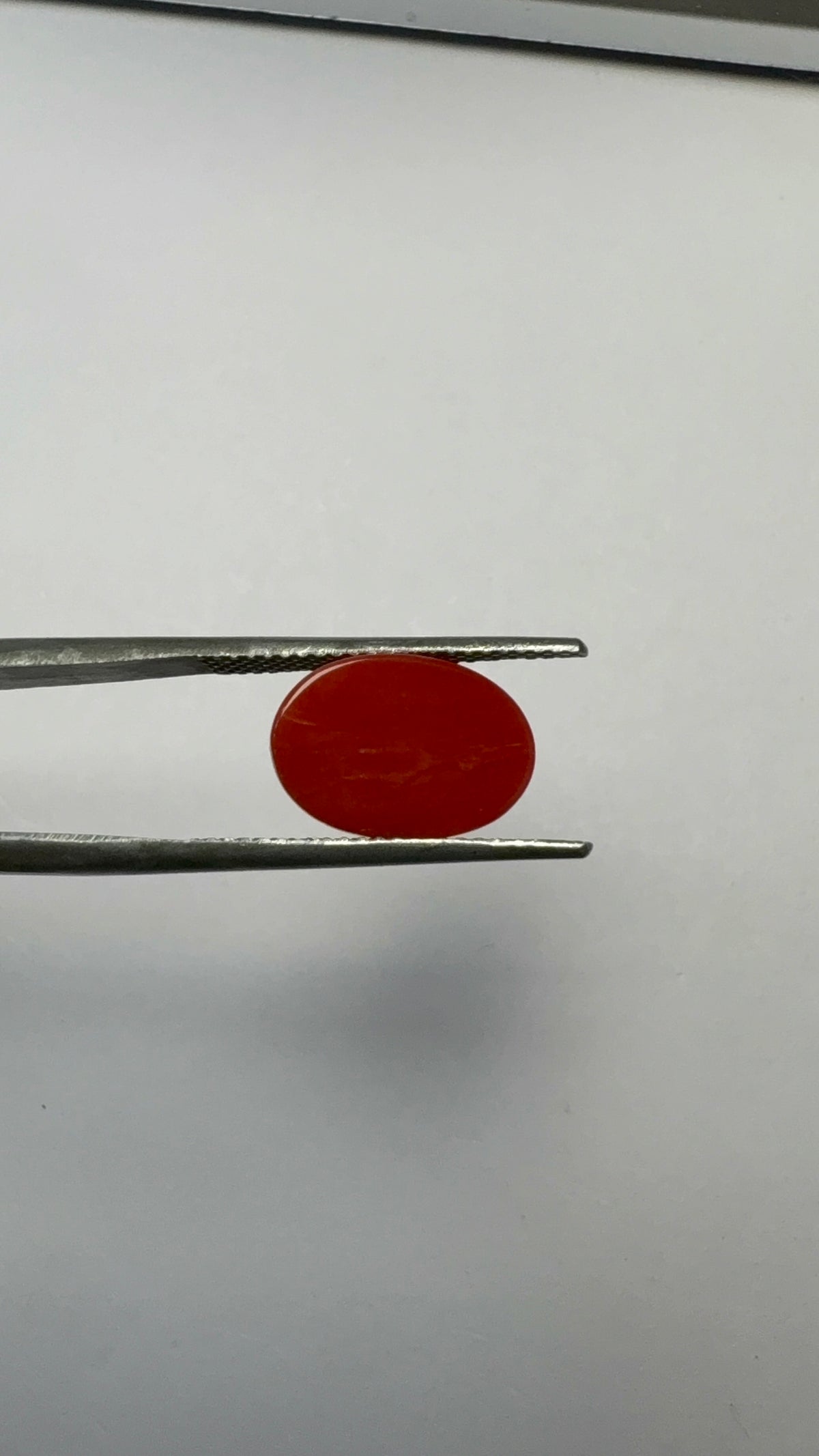 Red Coral 4.30 carat COR-20 angled view