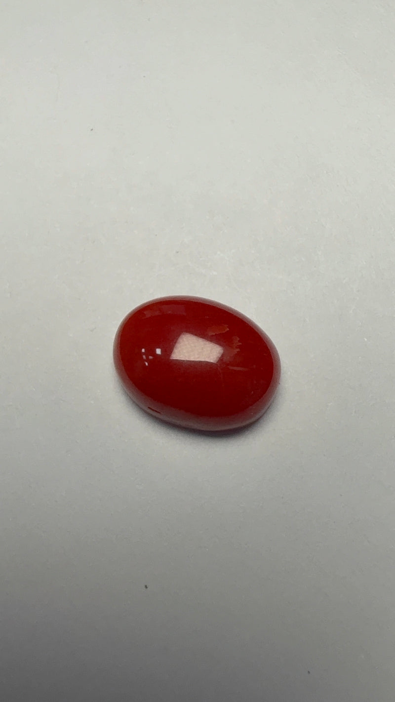Red Coral – 4.24 Carat – Japan – Oval