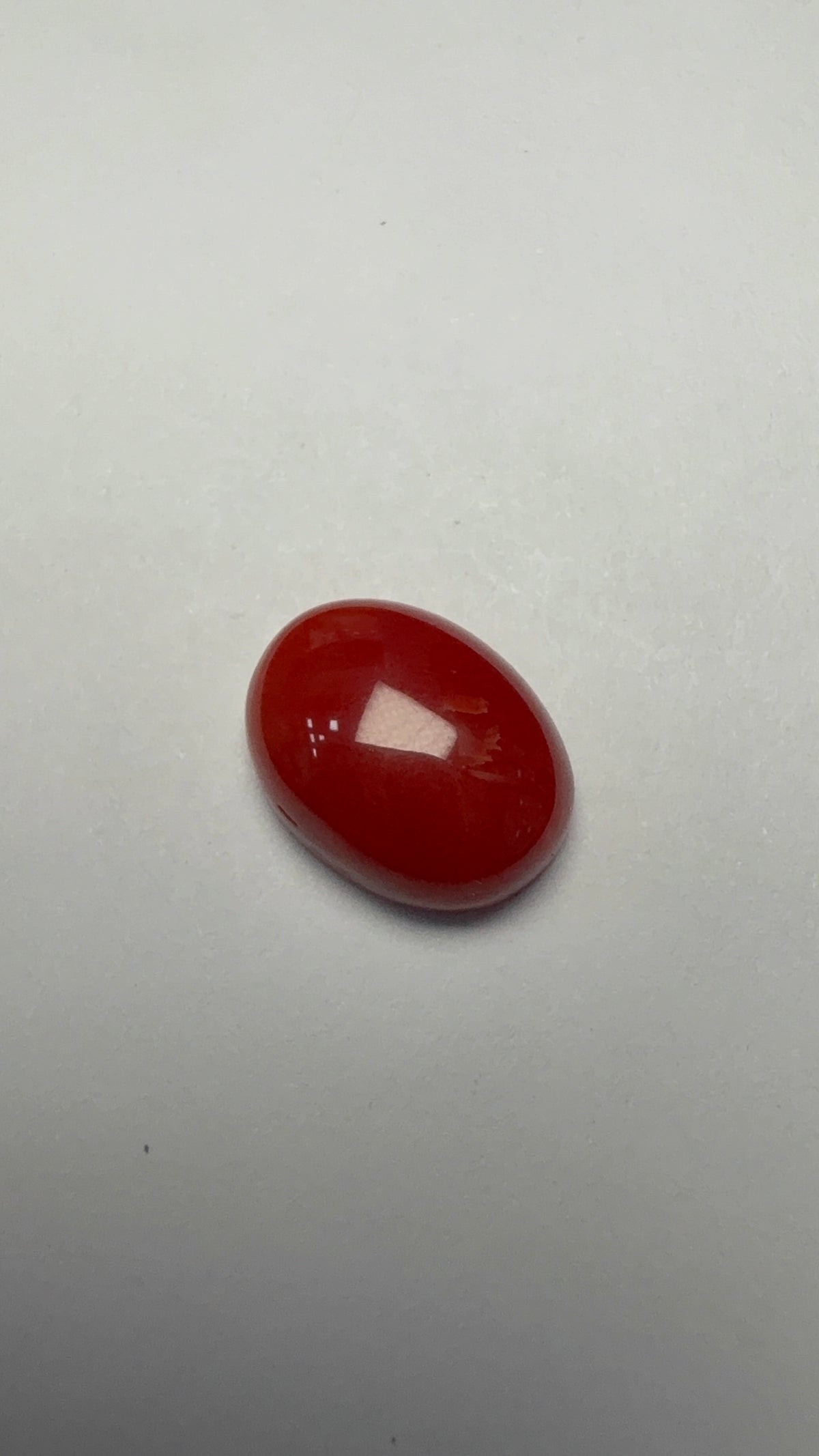 Red Coral 4.24 carat COR-23 face-up view