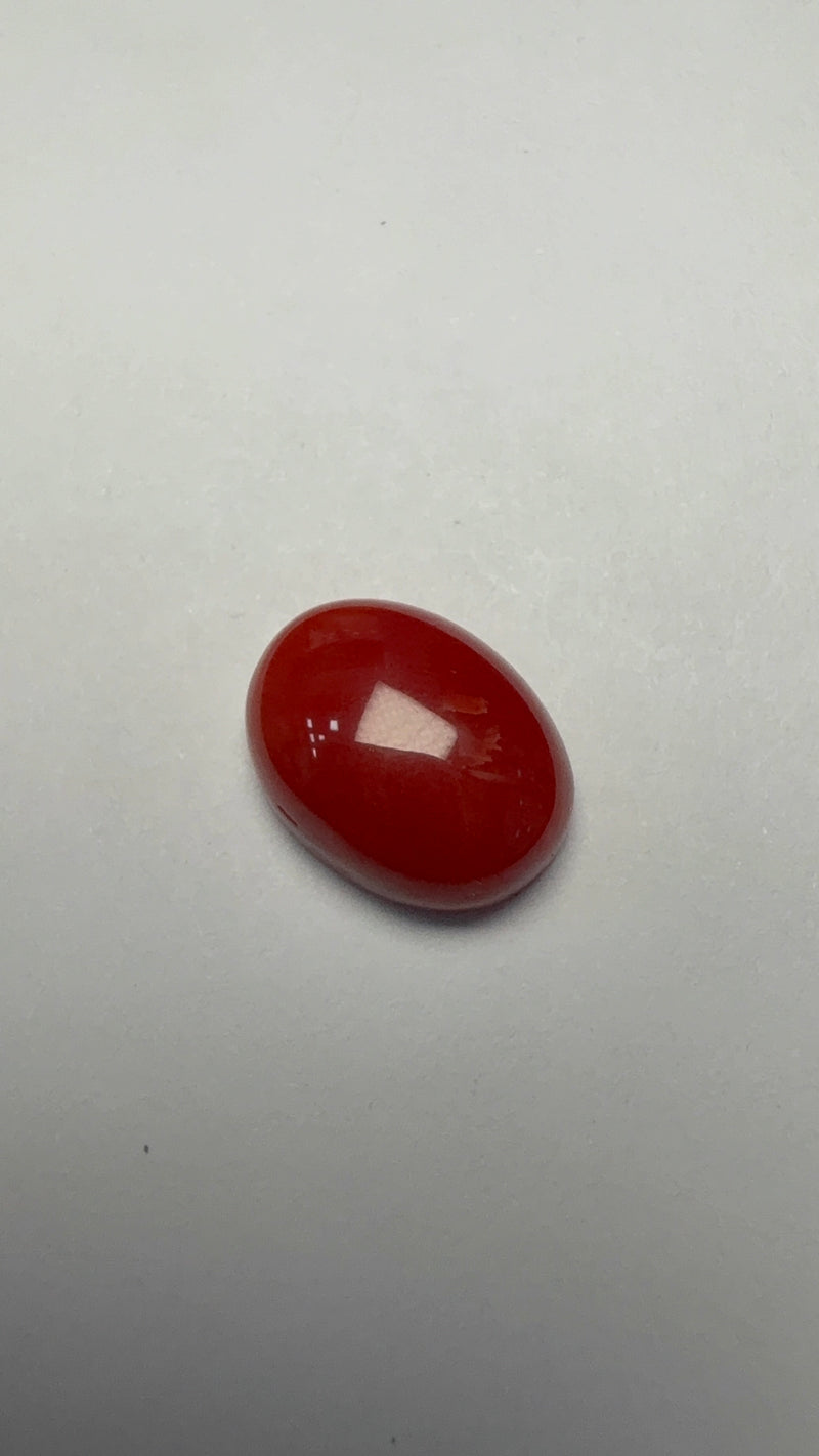 Red Coral – 4.24 Carat – Japan – Oval