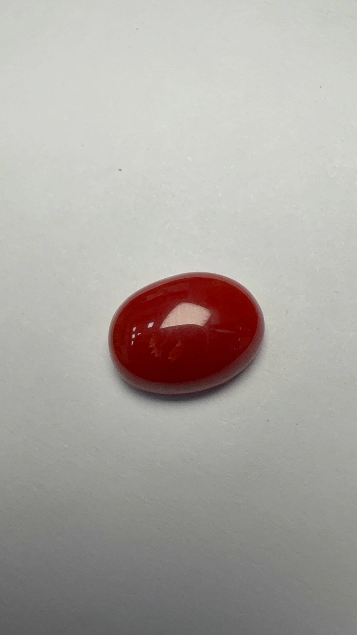 Red Coral 4.24 carat COR-23 alternate face-up view