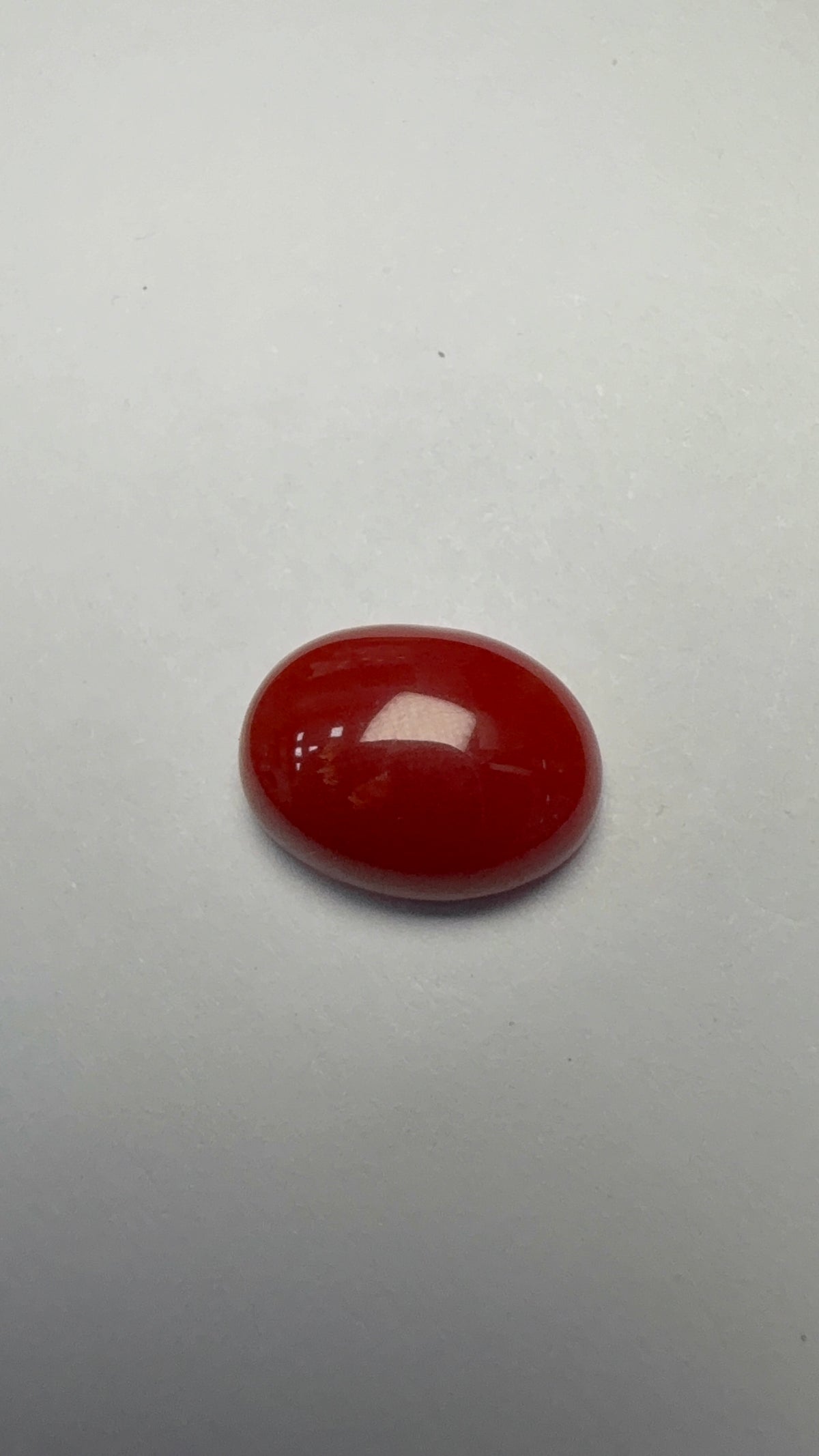 Red Coral 4.24 carat COR-23 close view