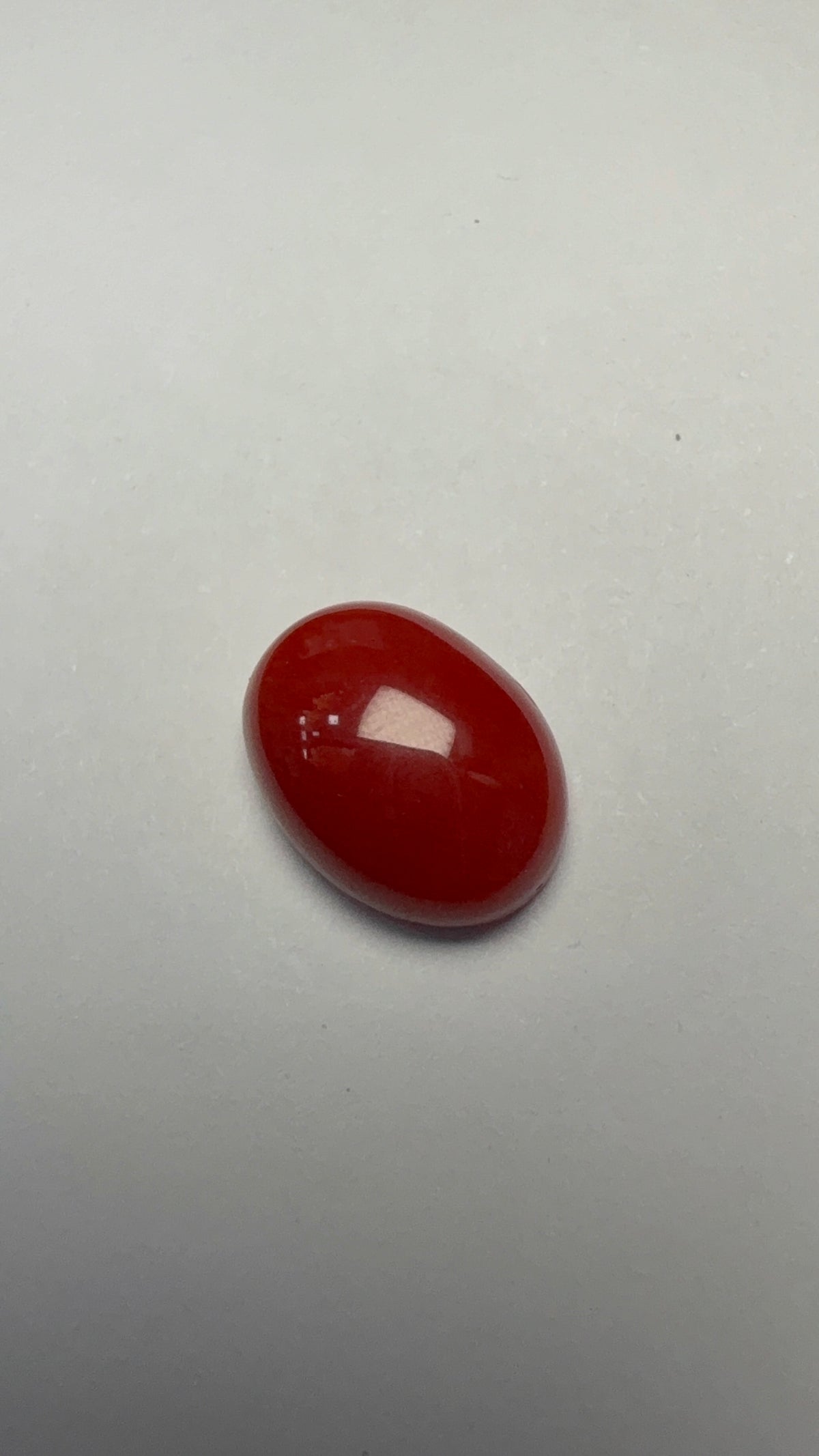Red Coral 4.24 carat COR-23 angled view