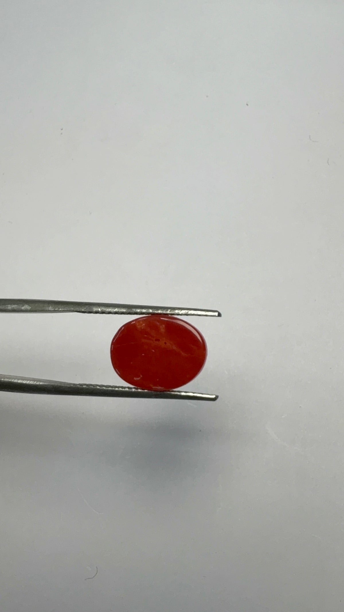 Red Coral 4.24 carat COR-23 side view