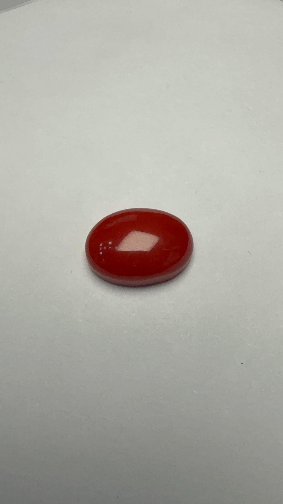 Red Coral 4.22 carat COR-26 front view