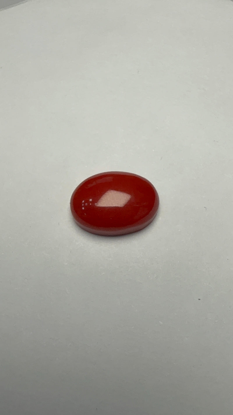 Red Coral – 4.22 Carat – Japan – Oval