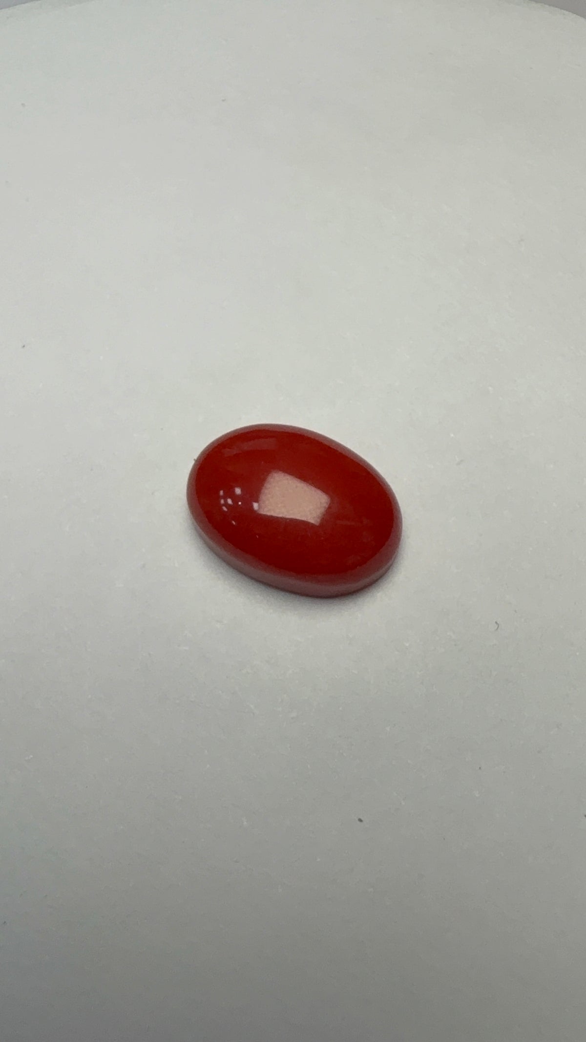 Red Coral 4.22 carat COR-26 face-up view