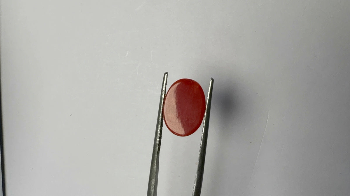 Red Coral 4.22 carat COR-26 angled view