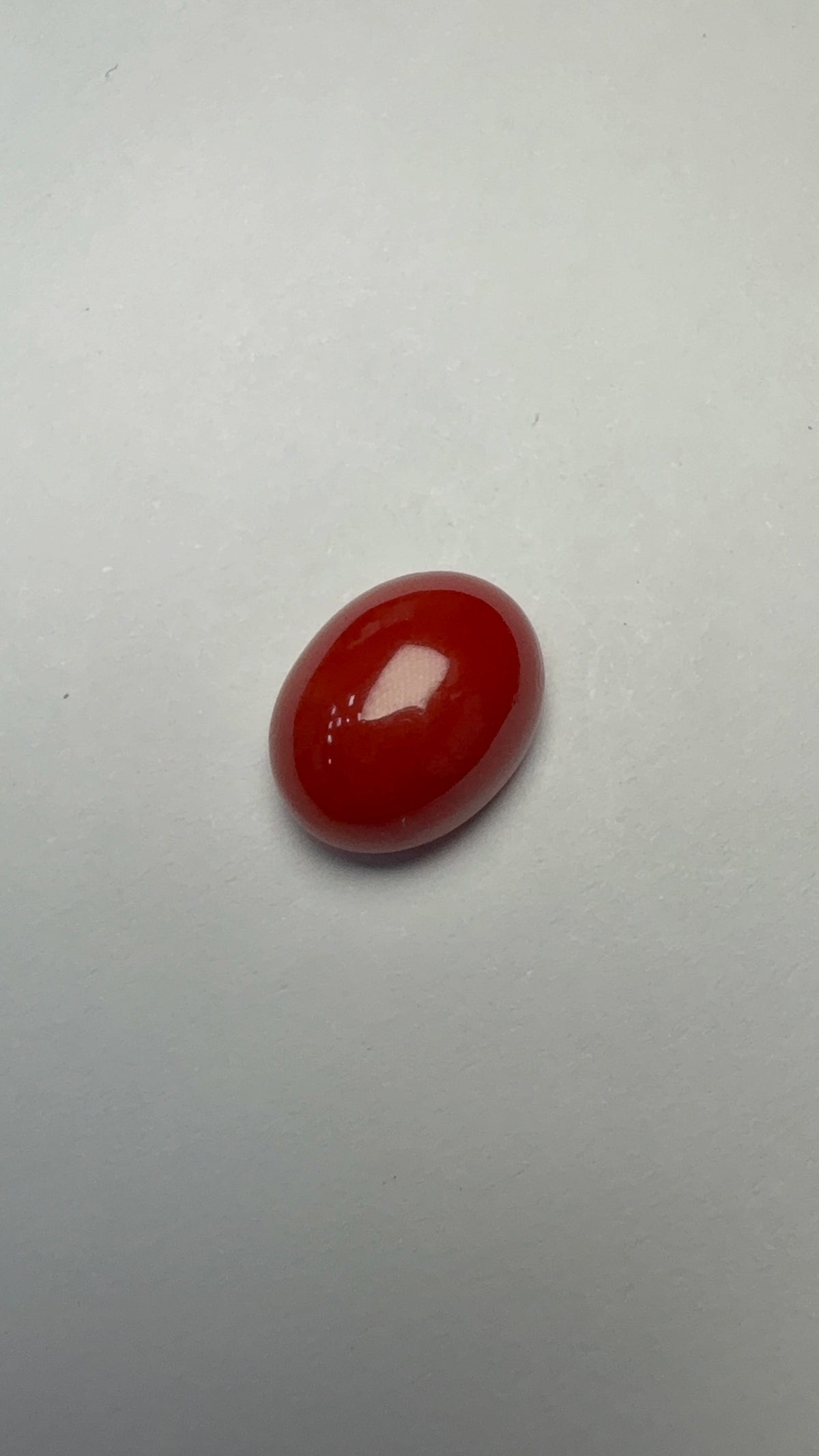 Red Coral 5.71 carat COR-70 front view