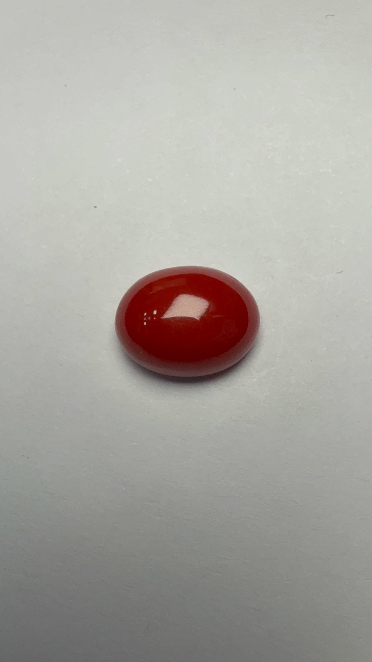 Red Coral 5.71 carat COR-70 face-up view
