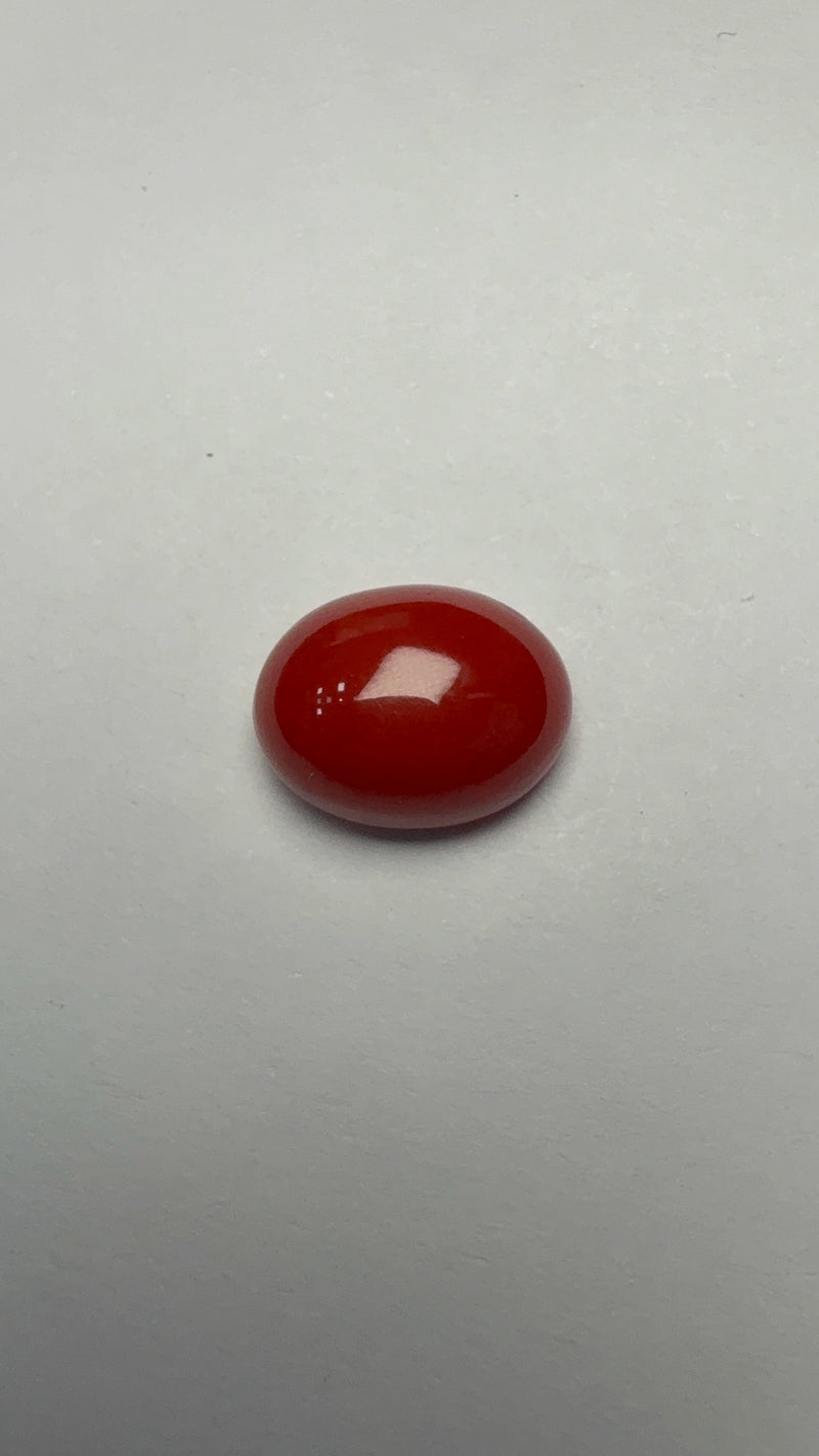 Red Coral – 5.71 Carat – Japan – Oval