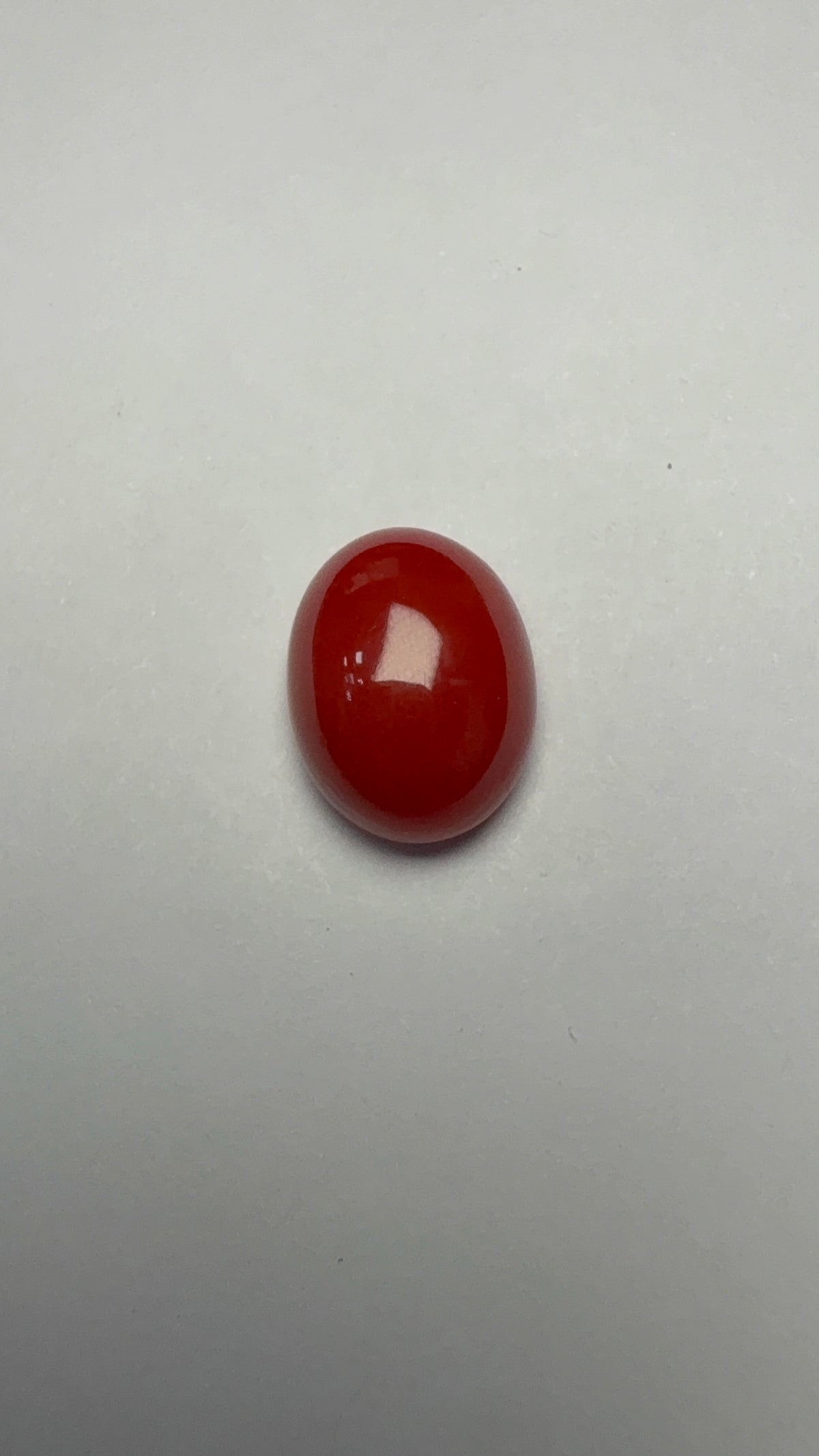 Red Coral 5.71 carat COR-70 close view
