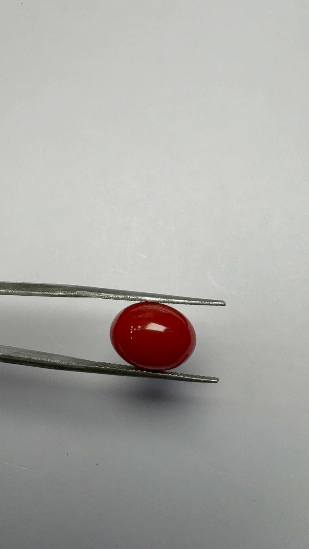 Red Coral 5.71 carat COR-70 angled view