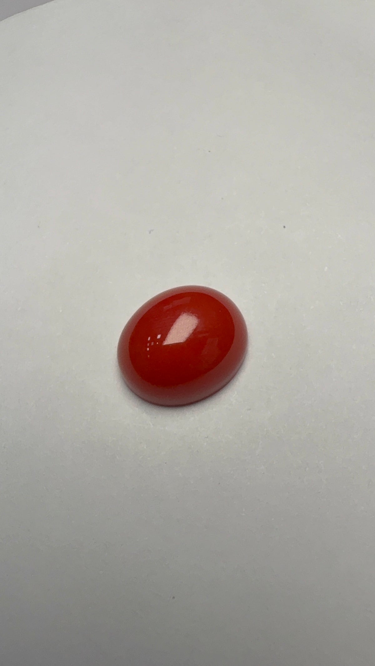 Red Coral 5.21 carat COR-75 front view
