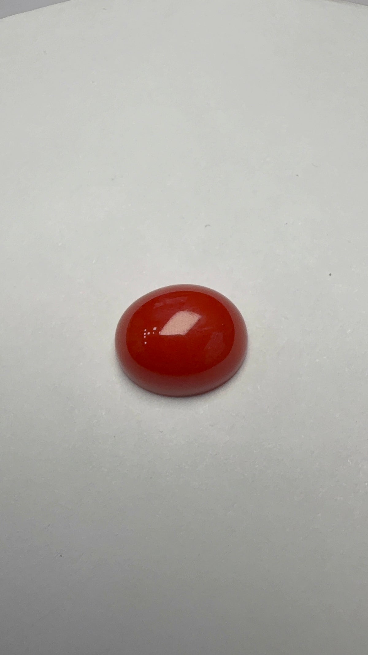 Red Coral 5.21 carat COR-75 face-up view