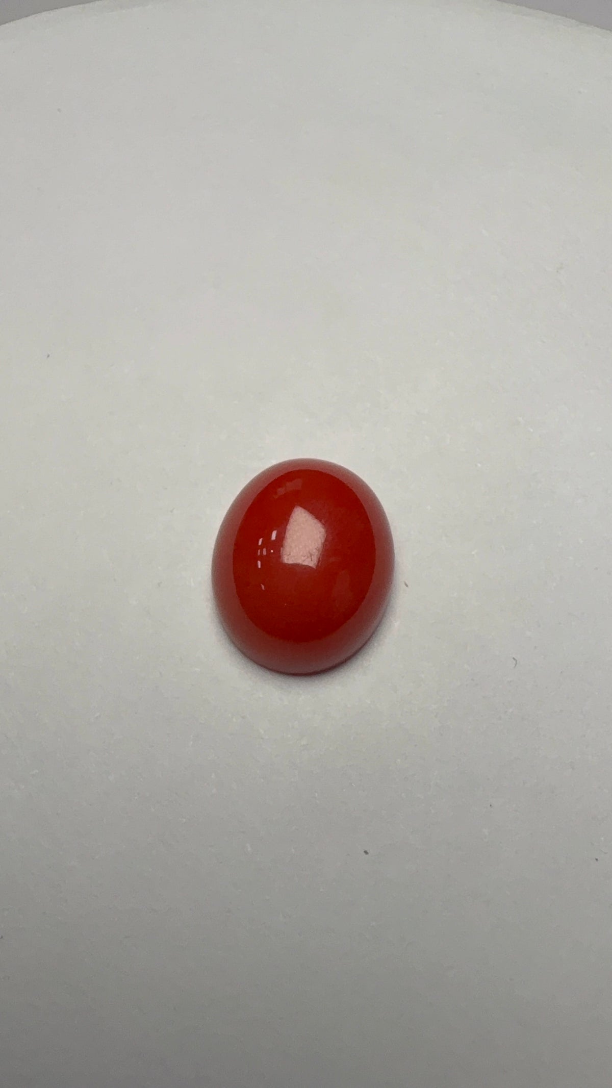Red Coral 5.21 carat COR-75 close view