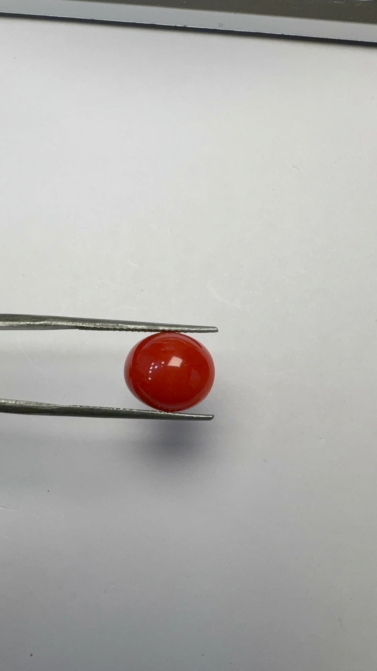 Red Coral 5.21 carat COR-75 angled view