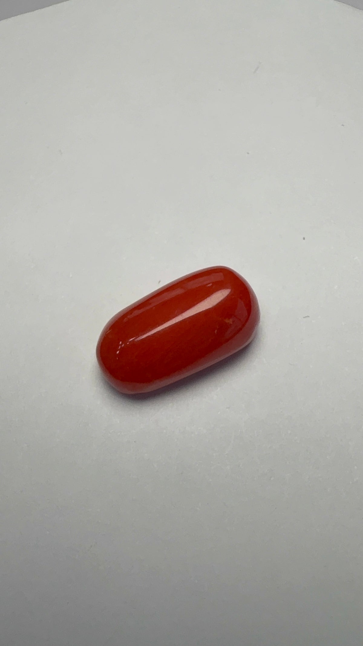 Red Coral 6.62 carat COR-78 front view