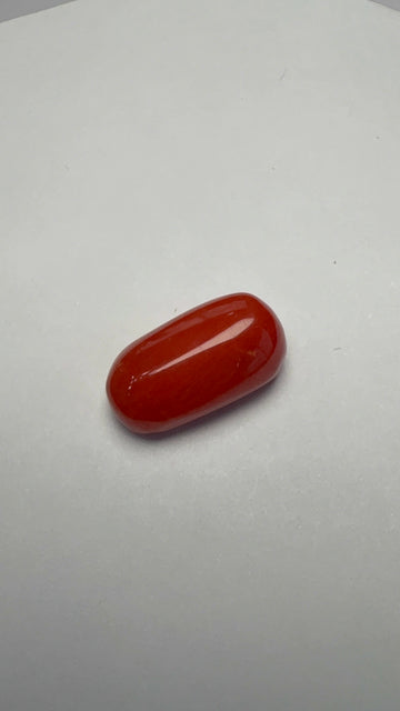 Red Coral 6.62 carat COR-78 front view