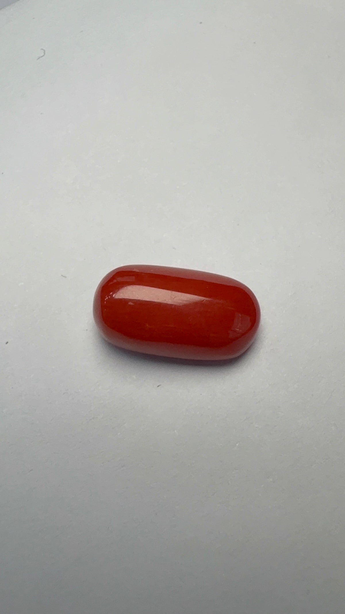 Red Coral 6.62 carat COR-78 close view