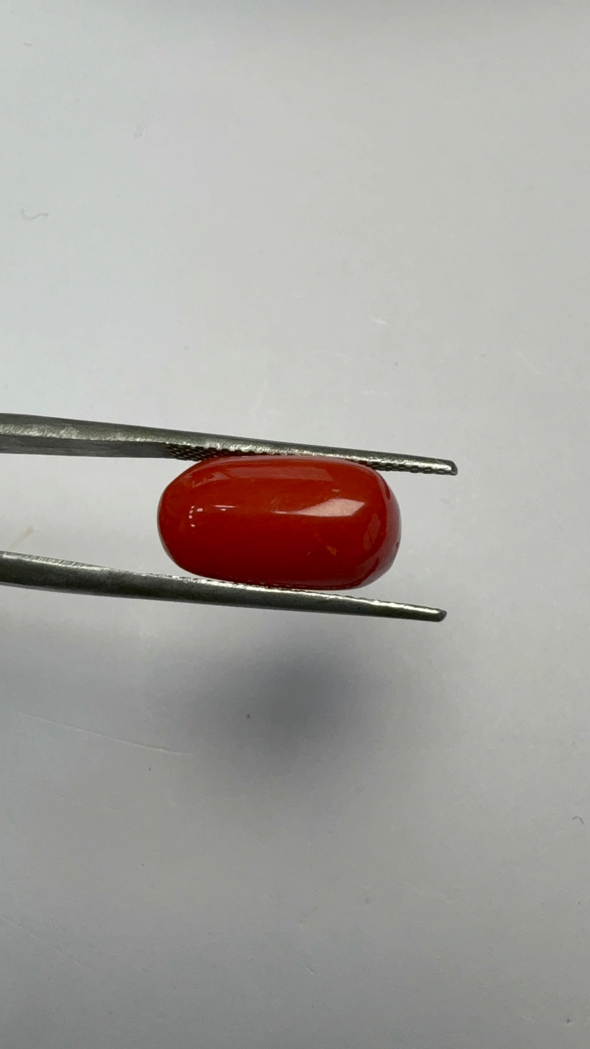 Red Coral 6.62 carat COR-78 angled view