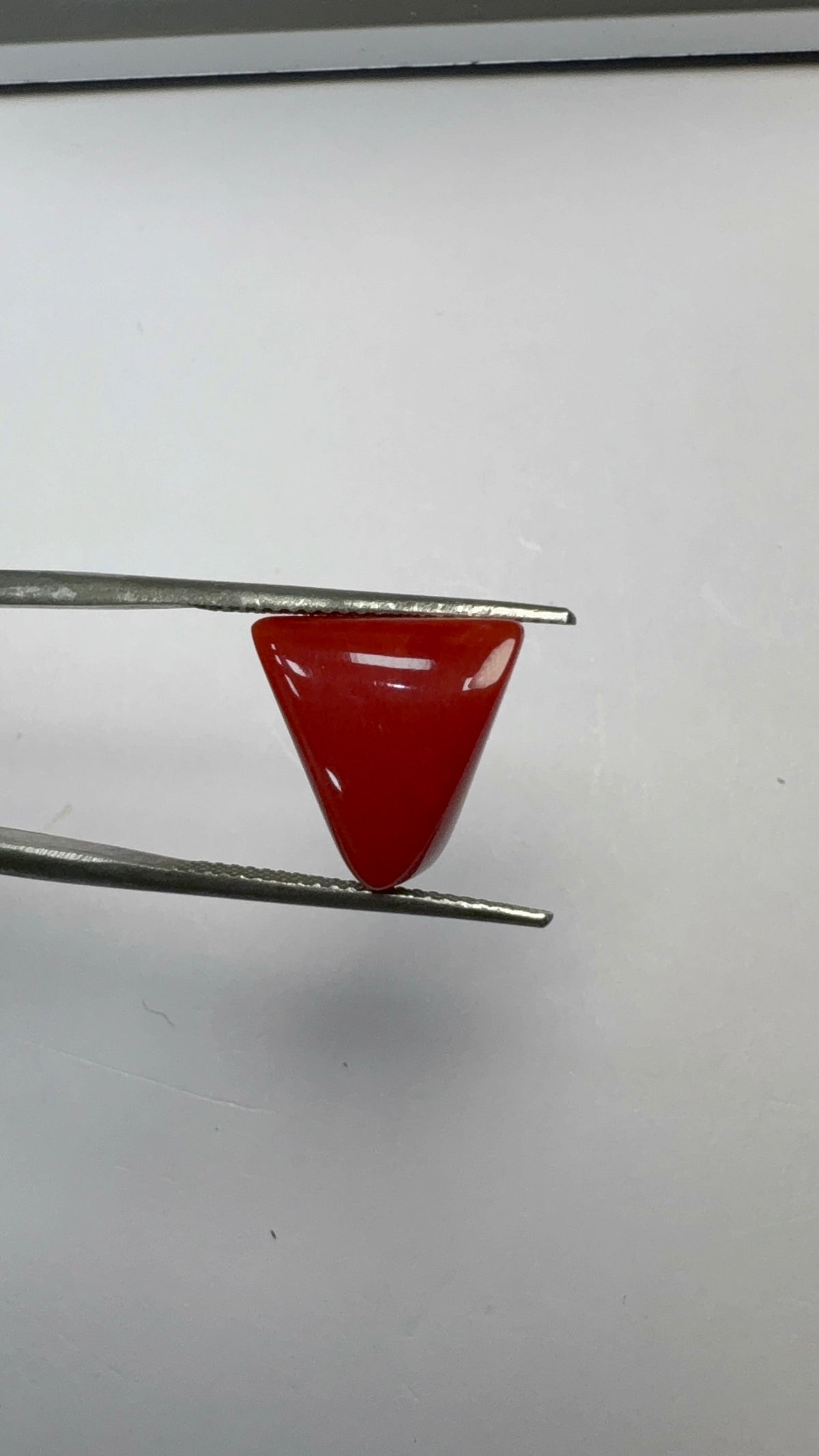 Red Coral 6.62 carat COR-85 close view