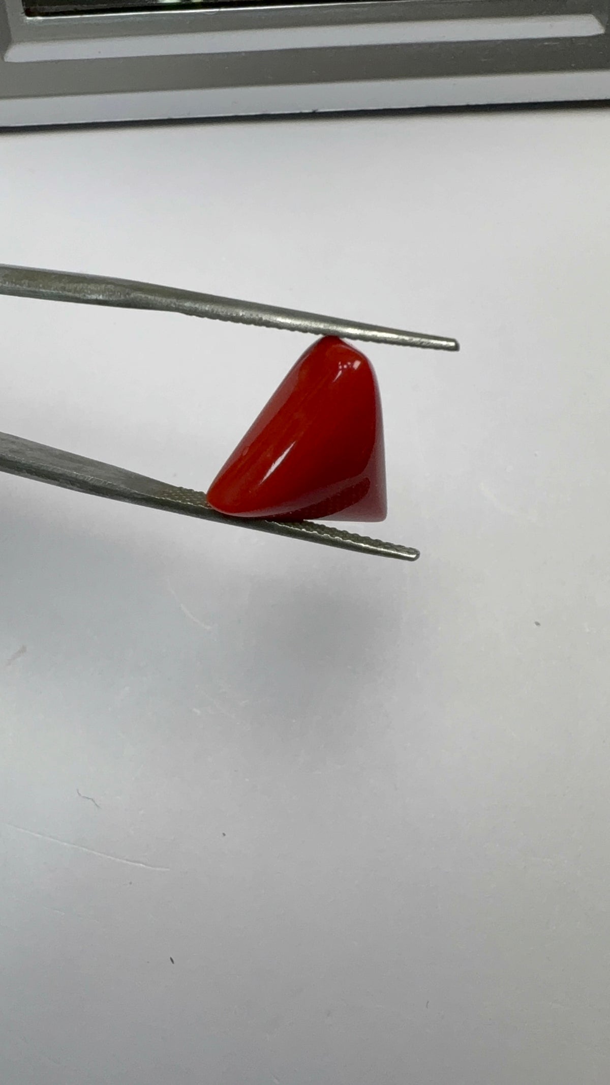 Red Coral 6.62 carat COR-85 angled view