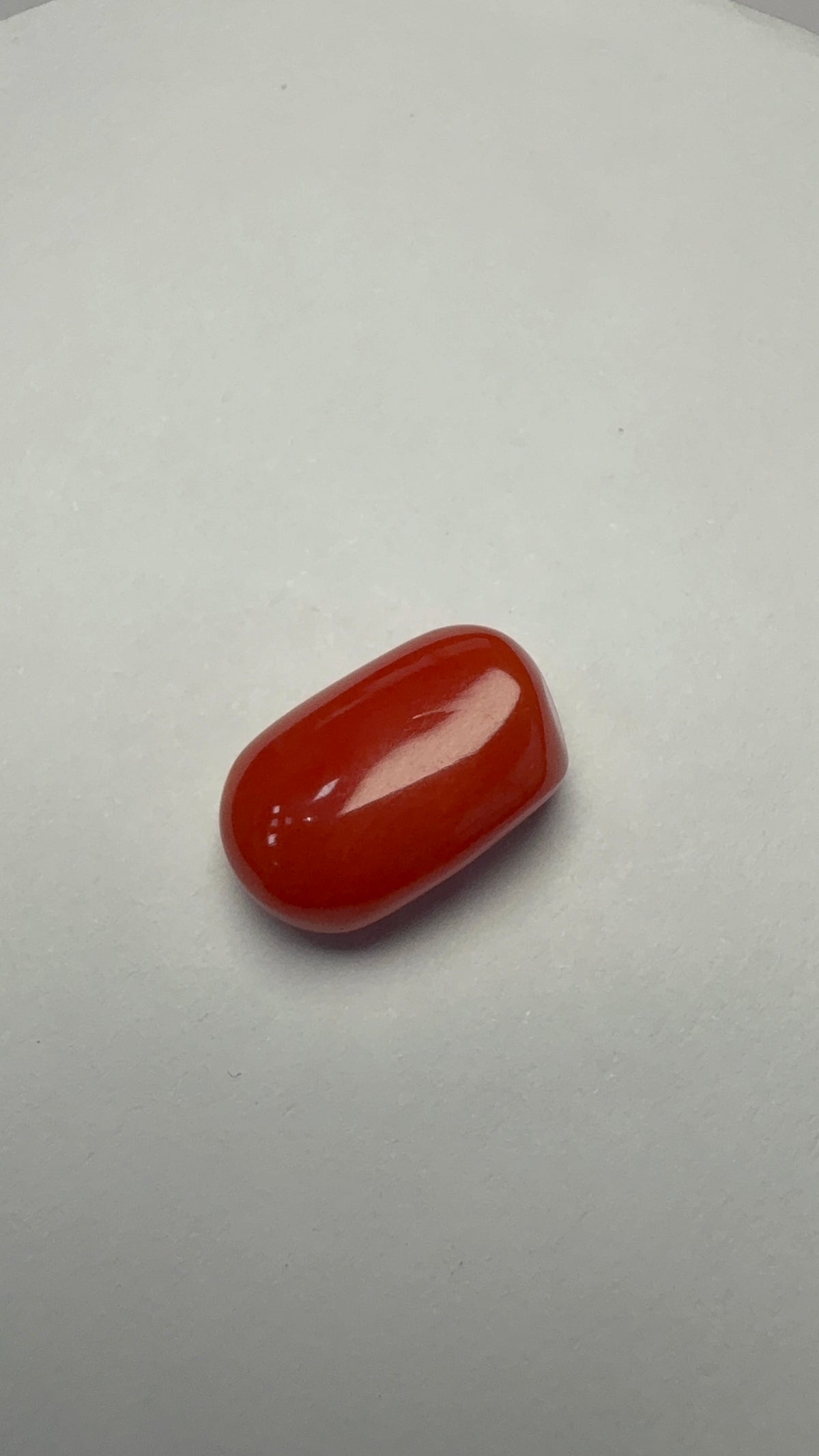 Red Coral 7.10 carat COR-87 front view