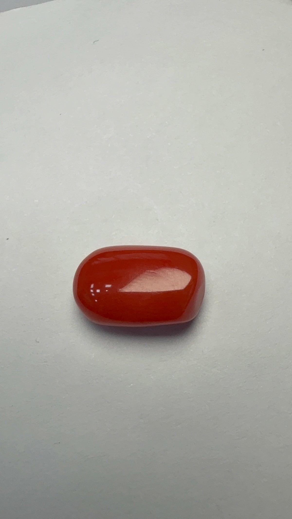Red Coral 7.10 carat COR-87 face-up view