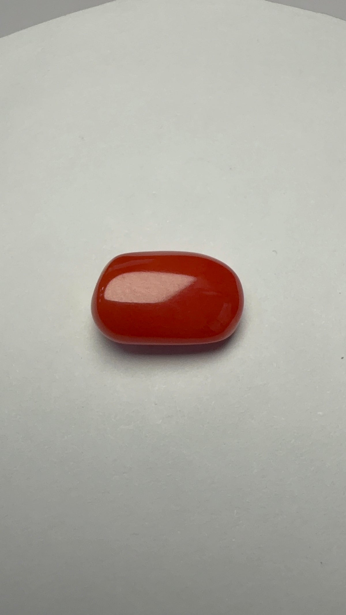 Red Coral 7.10 carat COR-87 close view