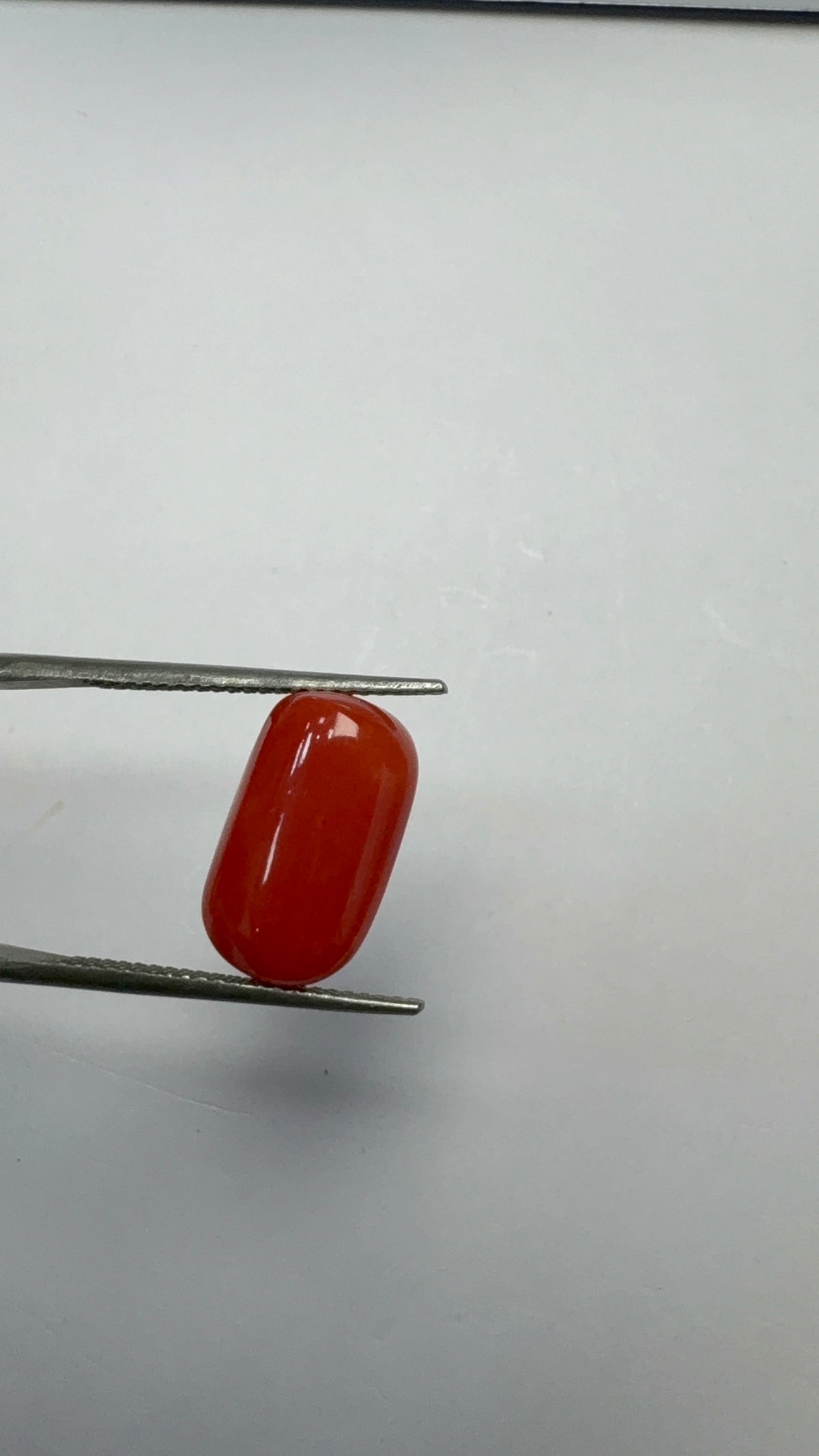 Red Coral 7.10 carat COR-87 angled view