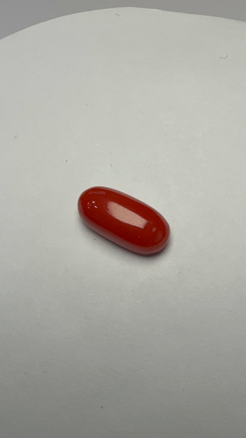 Red Coral – 5.51 Carat – Italy – Oval