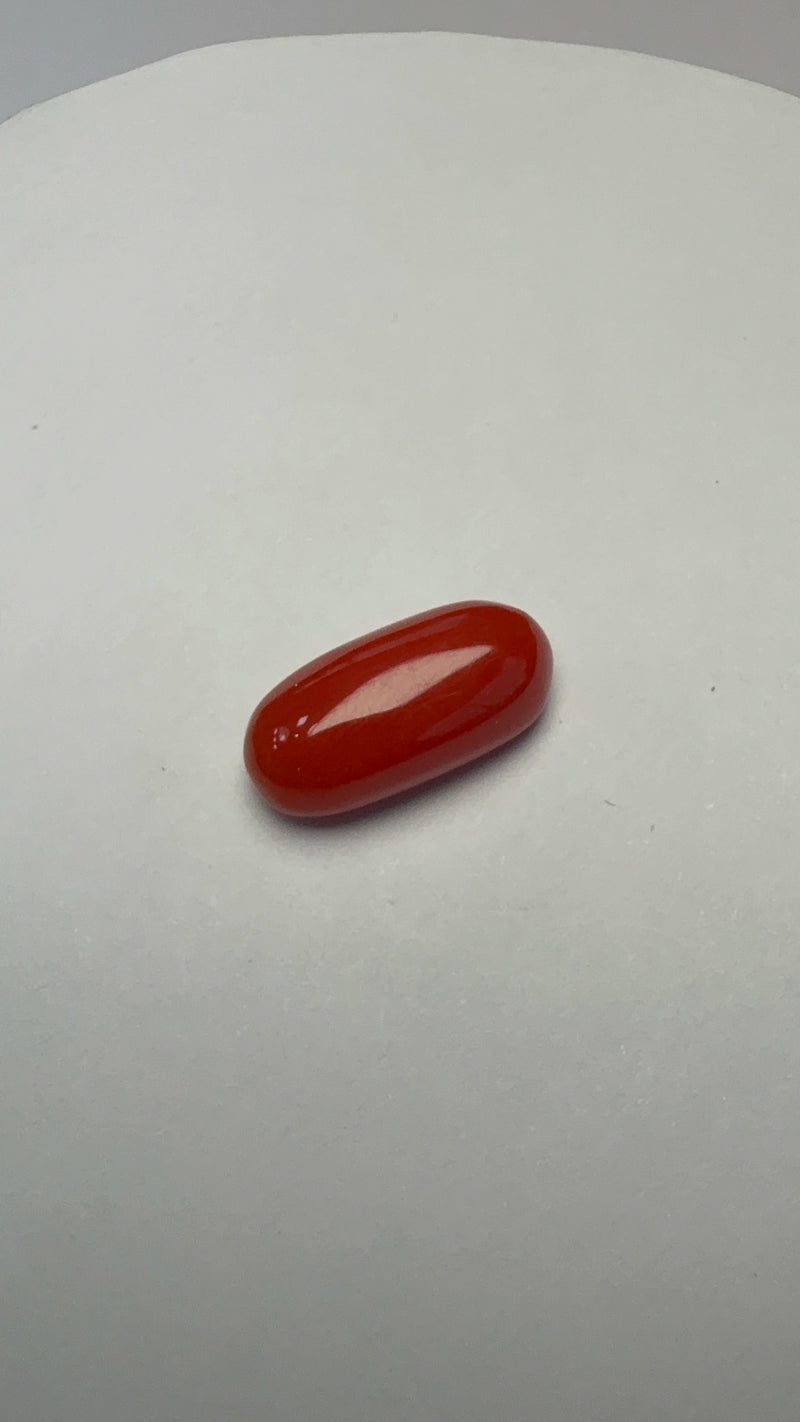 Red Coral – 5.51 Carat – Italy – Oval